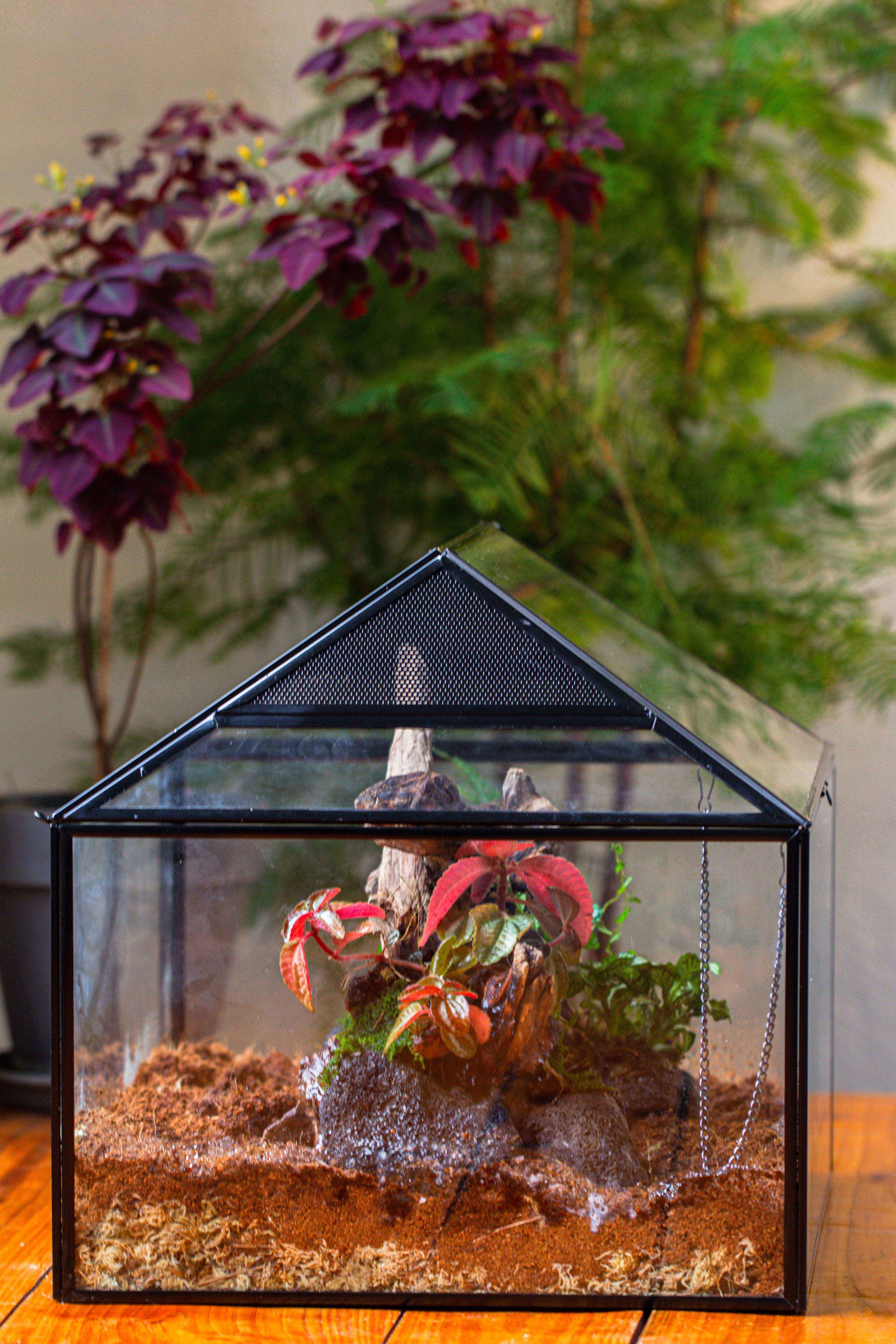 NCYP Handmade Large House Shape Geometric Glass Terrariumn 14x12x12" for Tarantulas - NCYPgarden