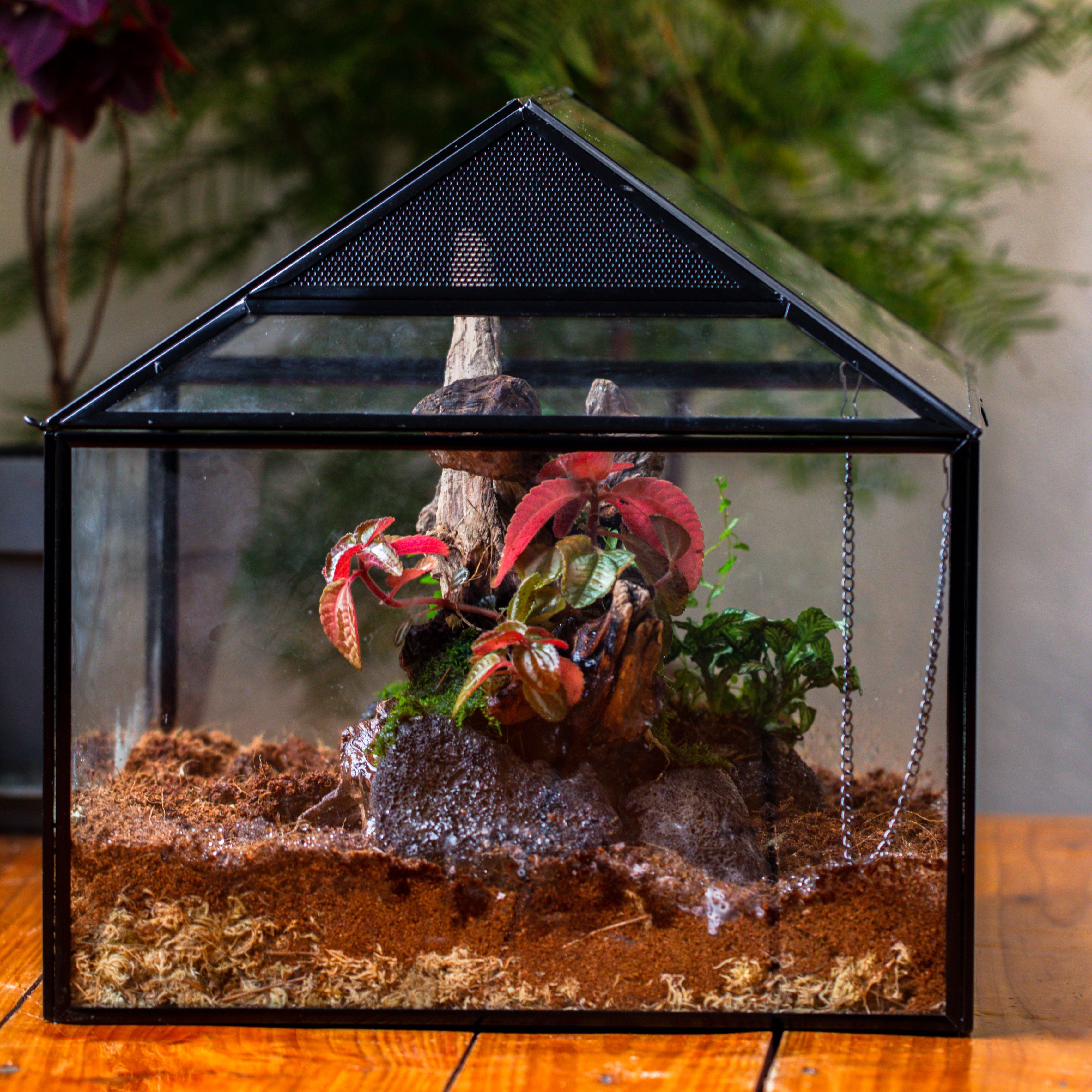 NCYP Handmade Large House Shape Geometric Glass Terrariumn 14x12x12" for Tarantulas - NCYPgarden