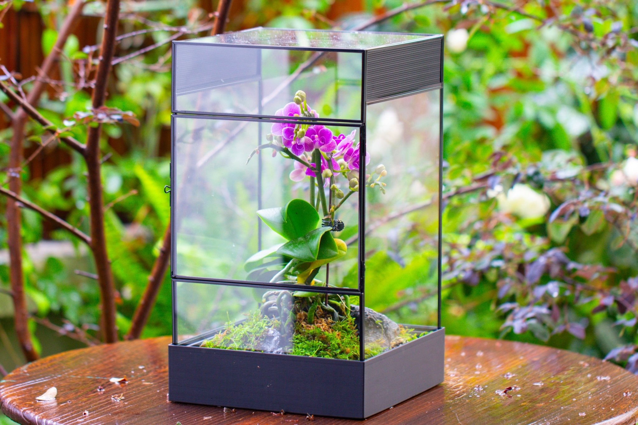 8x8x12 inches Large Handmade Glass Geometric Terrarium with Side Vent, for large insects - NCYPgarden