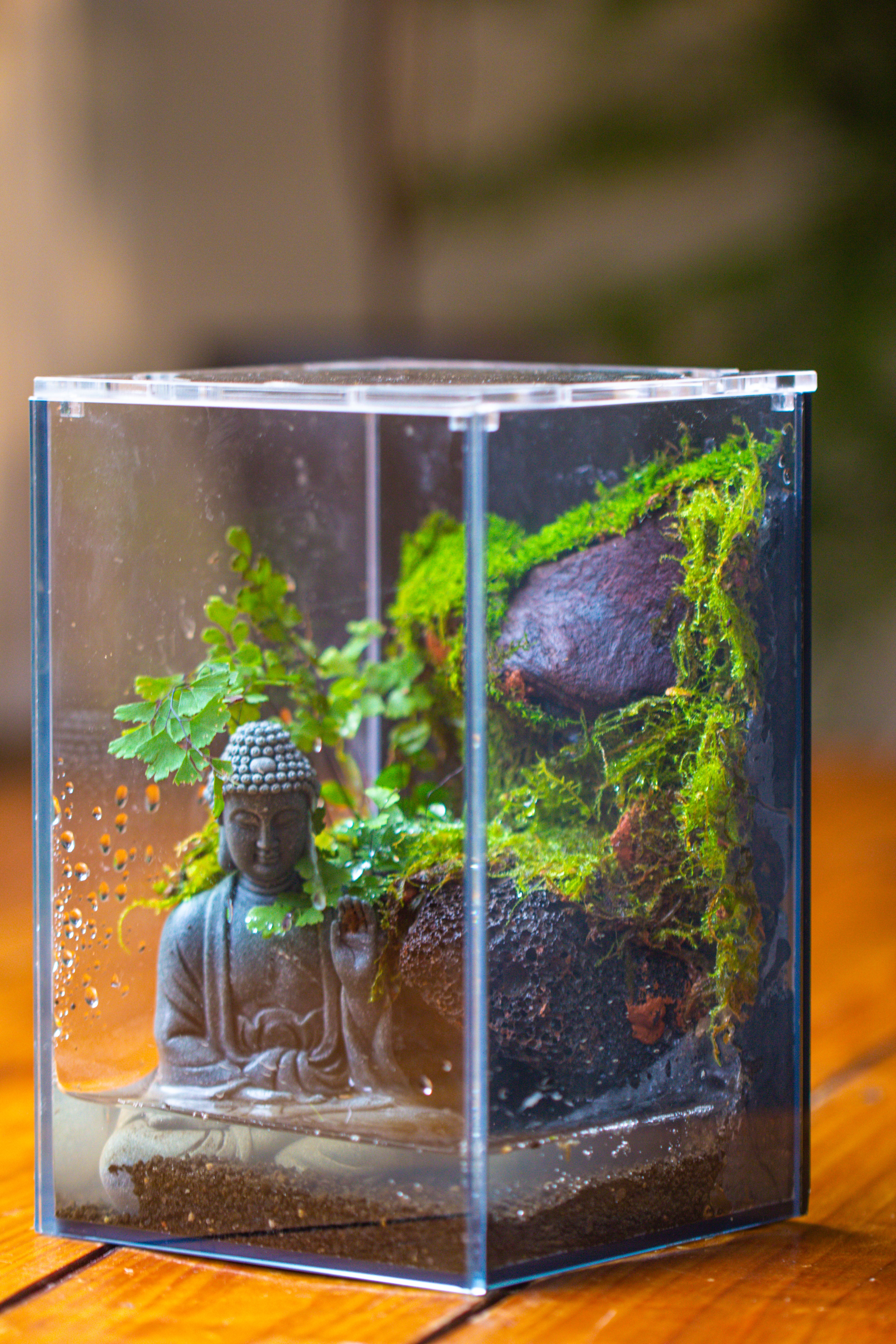 Watertight Glass Terrarium with LED Grow Light, Acrylic Lid for Moss Wall, vertical planting-12x12x18cm / 4.7x4.7x7.1'' - NCYPgarden