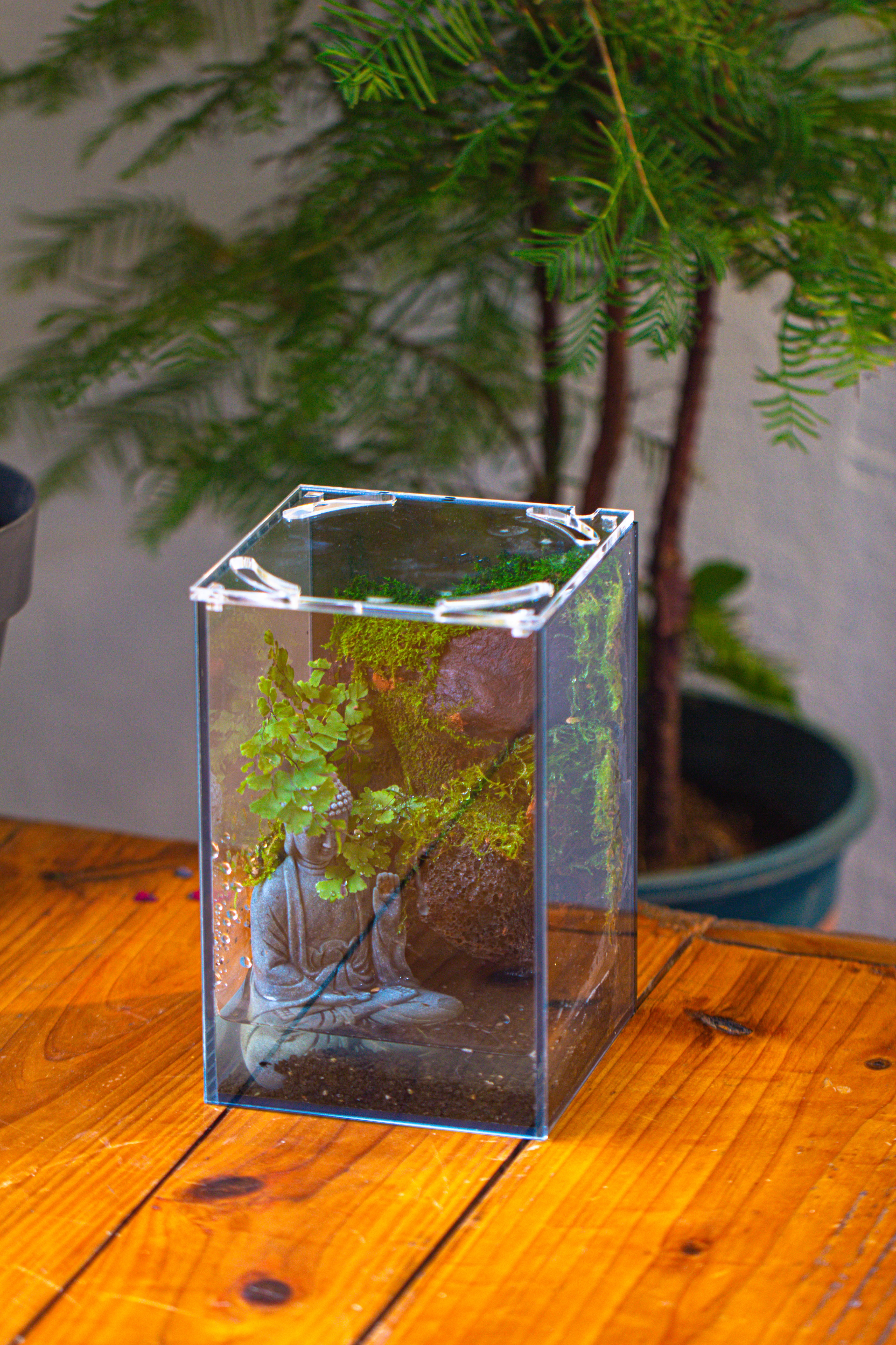 Watertight Glass Terrarium with LED Grow Light, Acrylic Lid for Moss Wall, vertical planting-12x12x18cm / 4.7x4.7x7.1'' - NCYPgarden