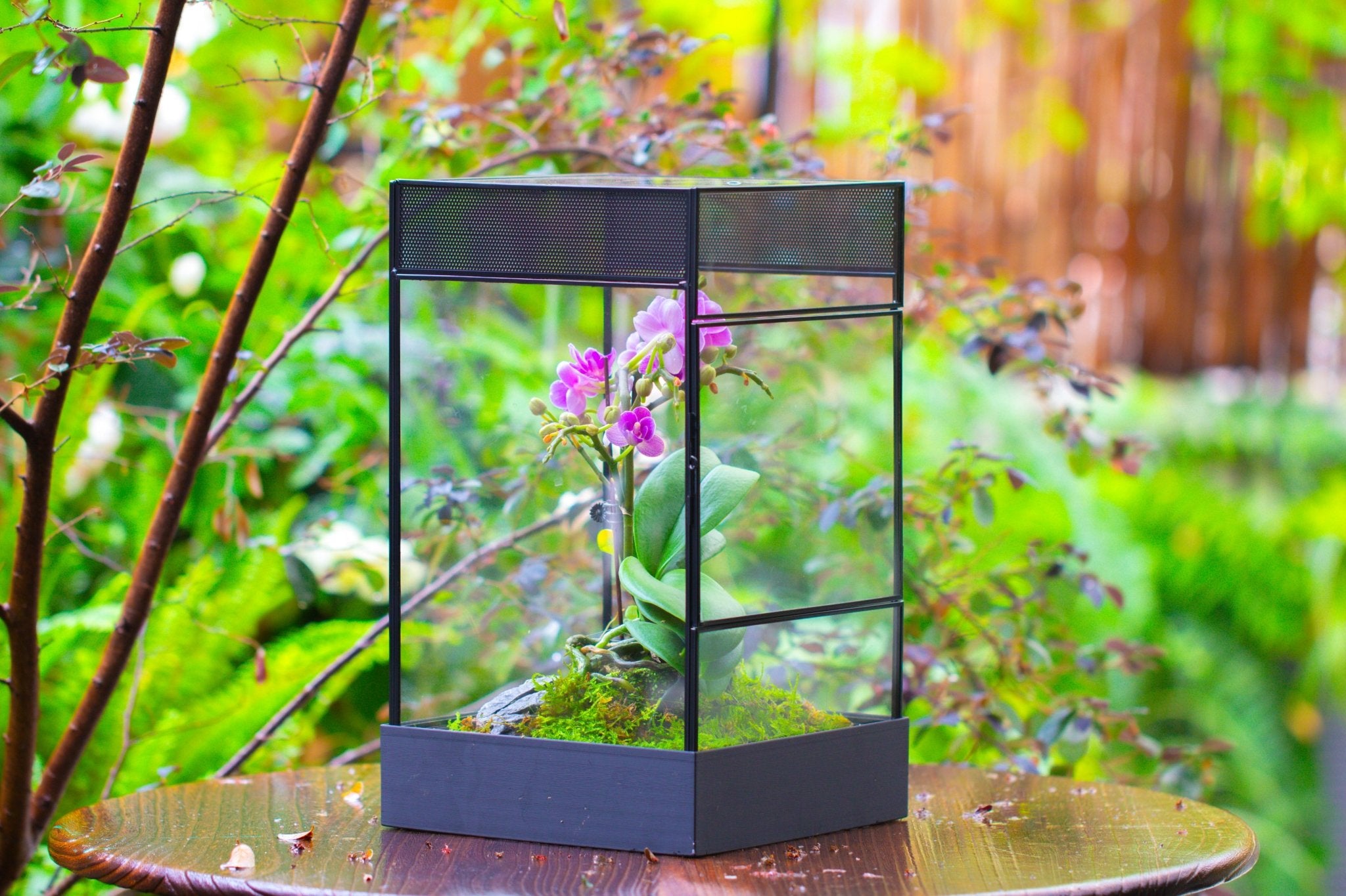 8x8x12 inches Large Handmade Glass Geometric Terrarium with Side Vent, for large insects - NCYPgarden