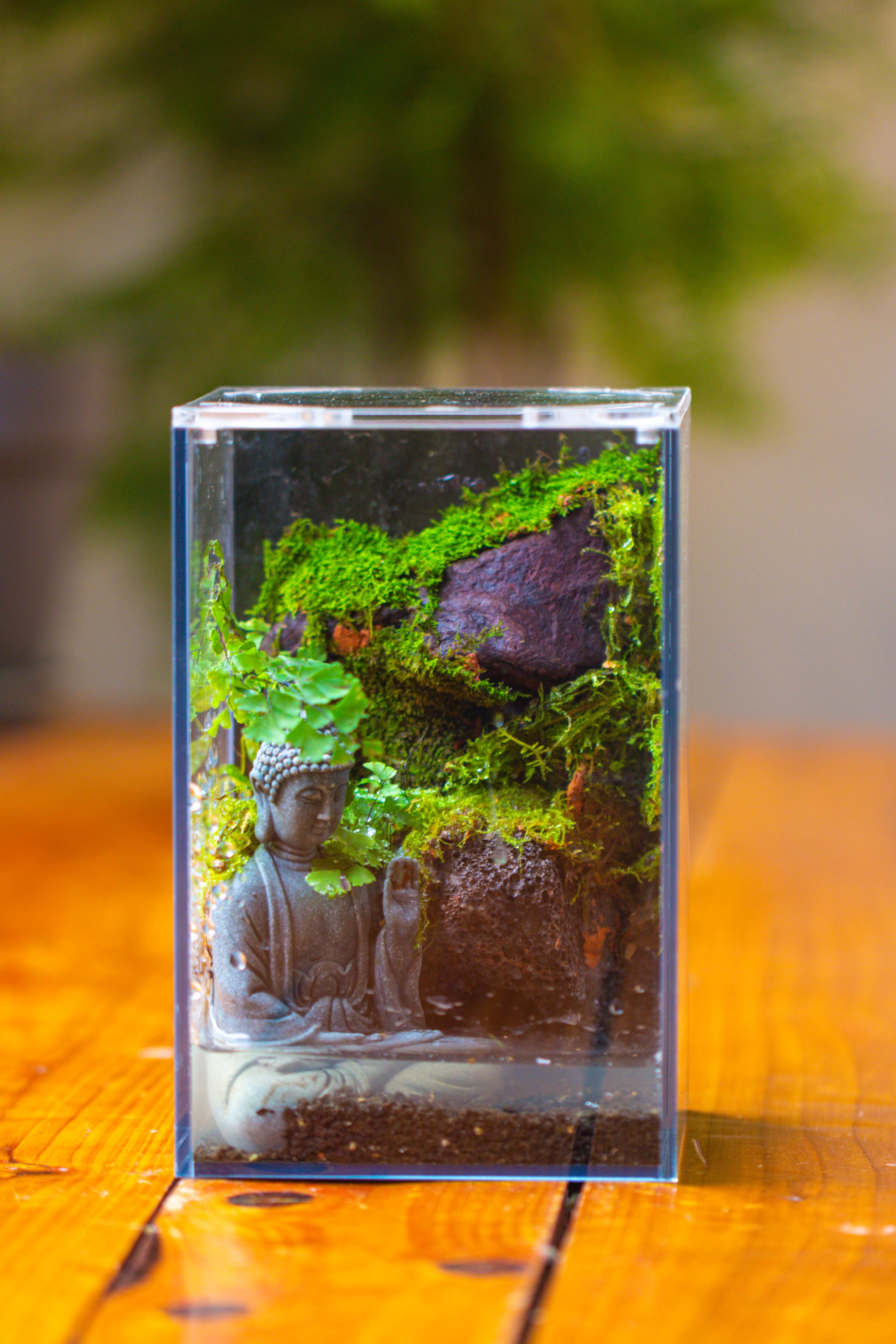 Watertight Glass Terrarium with LED Grow Light, Acrylic Lid for Moss Wall, vertical planting-12x12x18cm / 4.7x4.7x7.1'' - NCYPgarden