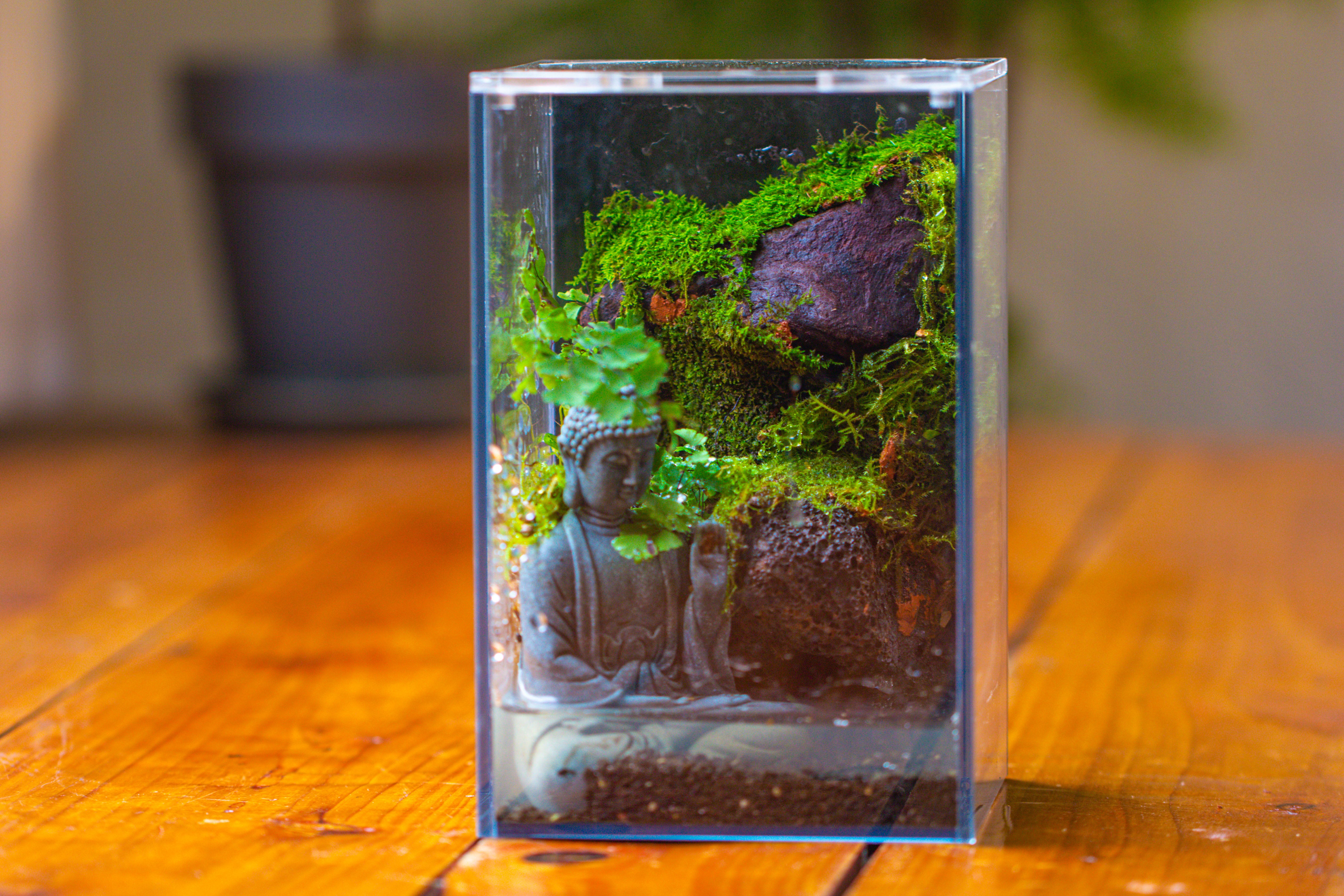 Watertight Glass Terrarium with LED Grow Light, Acrylic Lid for Moss Wall, vertical planting-12x12x18cm / 4.7x4.7x7.1'' - NCYPgarden