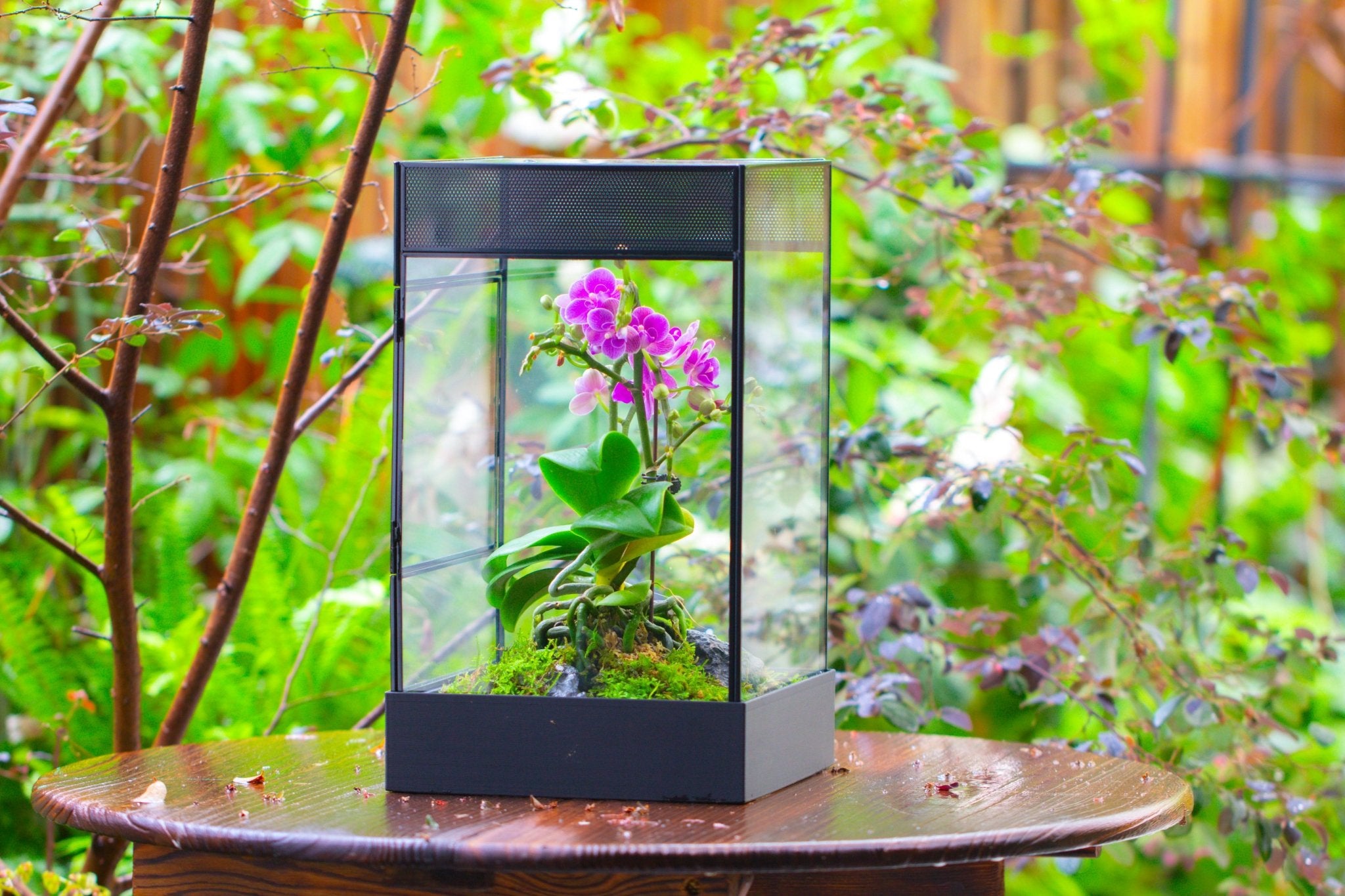 8x8x12 inches Large Handmade Glass Geometric Terrarium with Side Vent, for large insects - NCYPgarden