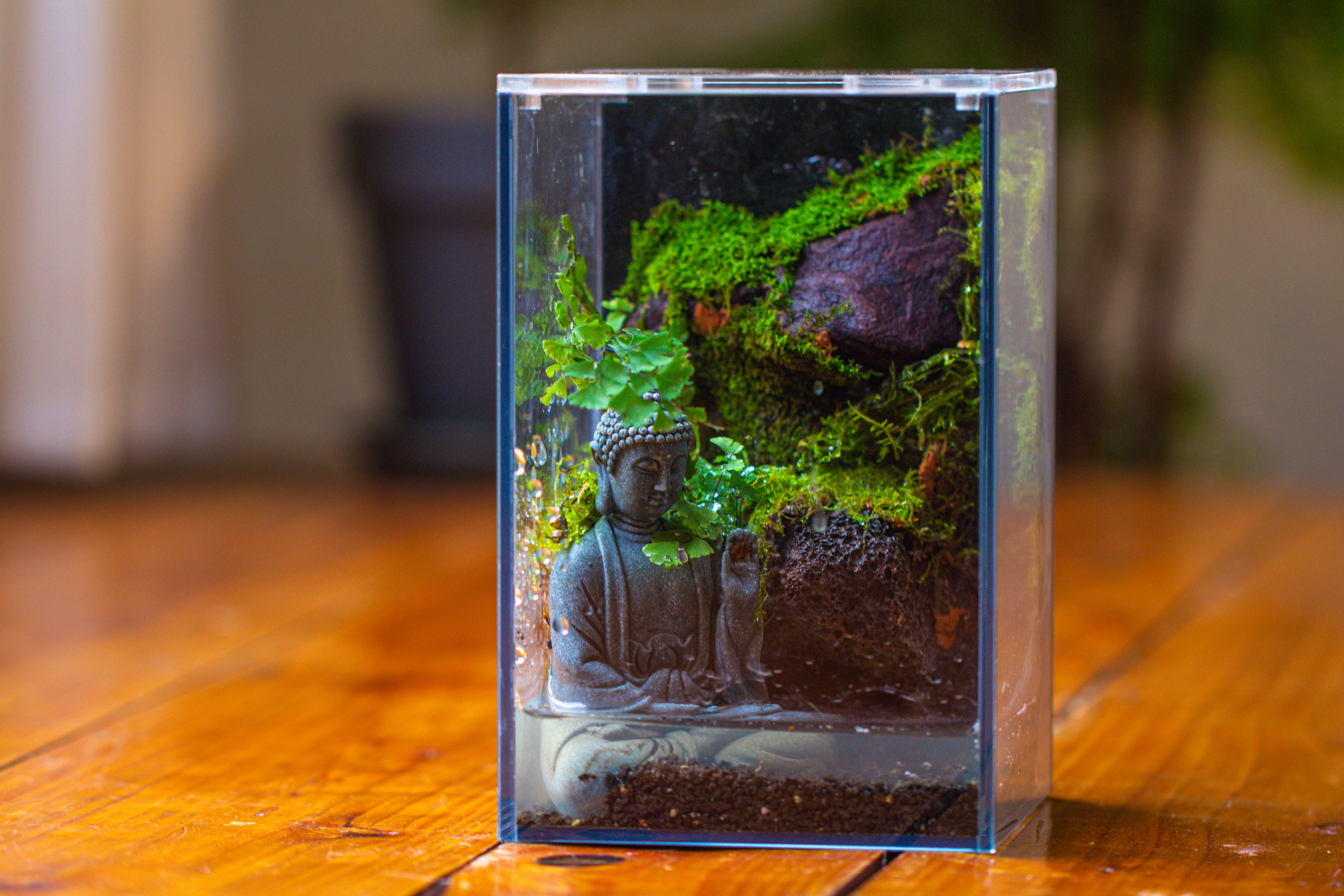 Watertight Glass Terrarium with LED Grow Light, Acrylic Lid for Moss Wall, vertical planting-12x12x18cm / 4.7x4.7x7.1'' - NCYPgarden