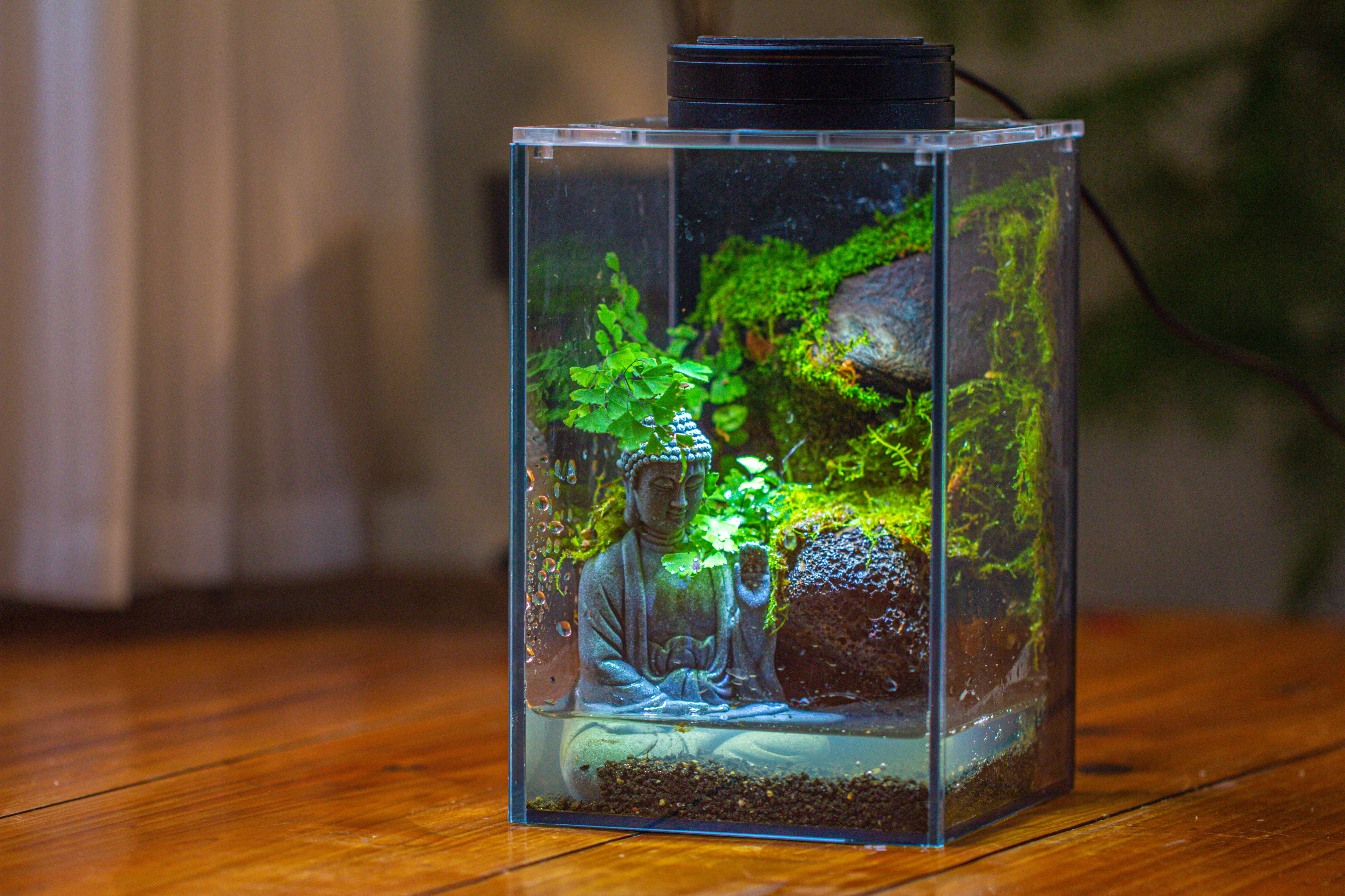 Watertight Glass Terrarium with LED Grow Light, Acrylic Lid for Moss Wall, vertical planting-12x12x18cm / 4.7x4.7x7.1'' - NCYPgarden