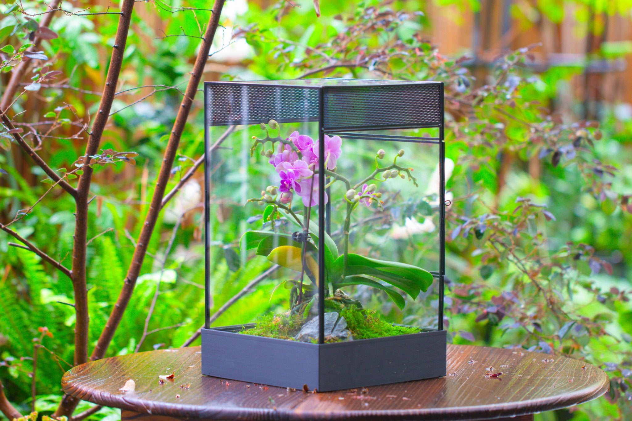 8x8x12 inches Large Handmade Glass Geometric Terrarium with Side Vent, for large insects - NCYPgarden