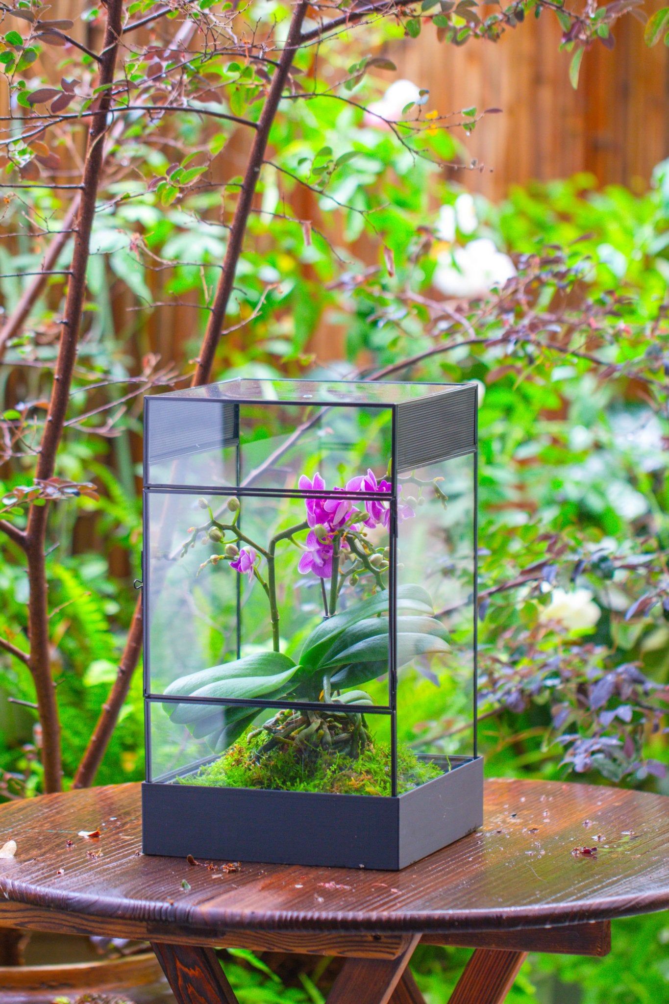 8x8x12 inches Large Handmade Glass Geometric Terrarium with Side Vent, for large insects - NCYPgarden