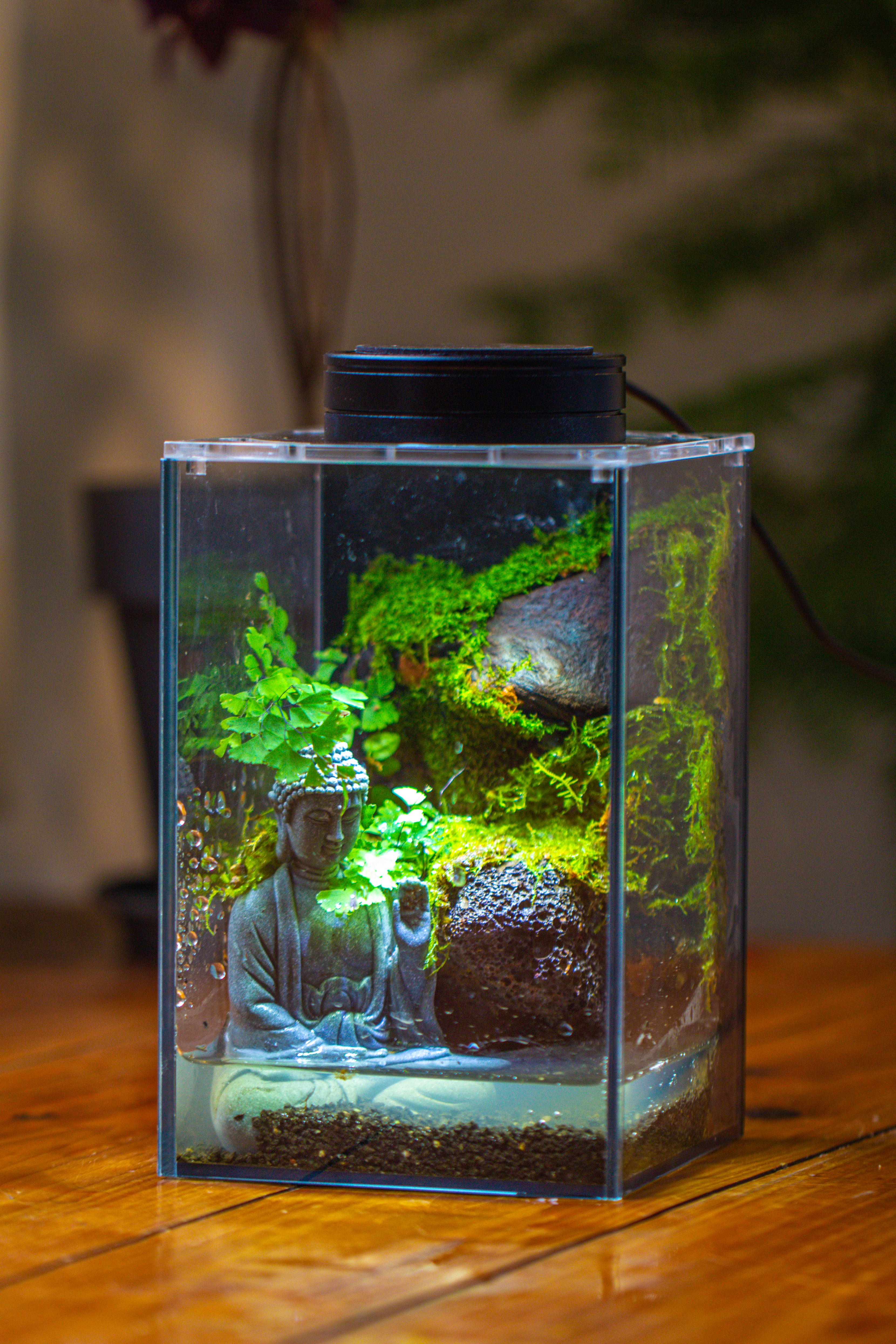 Watertight Glass Terrarium with LED Grow Light, Acrylic Lid for Moss Wall, vertical planting-12x12x18cm / 4.7x4.7x7.1'' - NCYPgarden