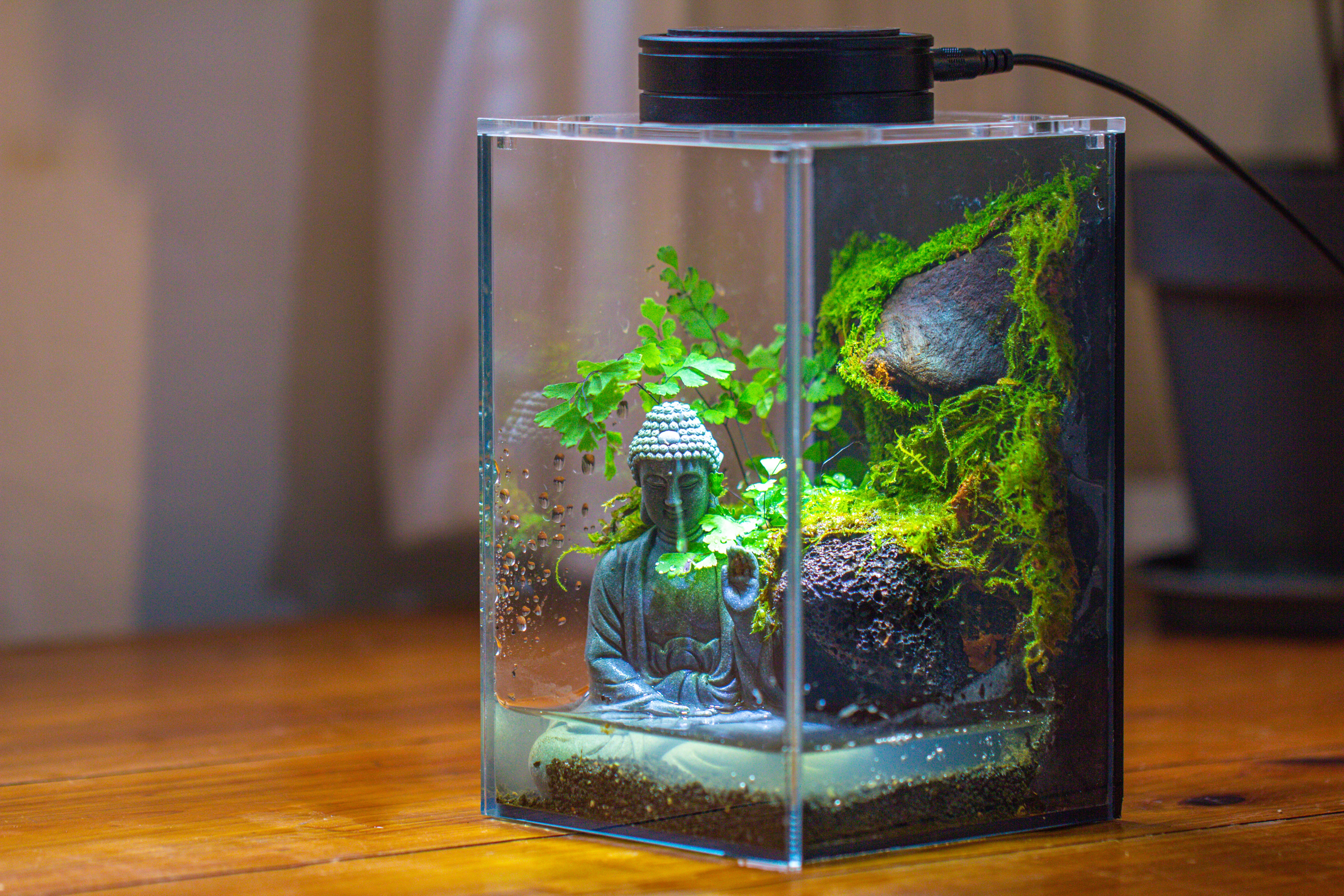 Watertight Glass Terrarium with LED Grow Light, Acrylic Lid for Moss Wall, vertical planting-12x12x18cm / 4.7x4.7x7.1'' - NCYPgarden