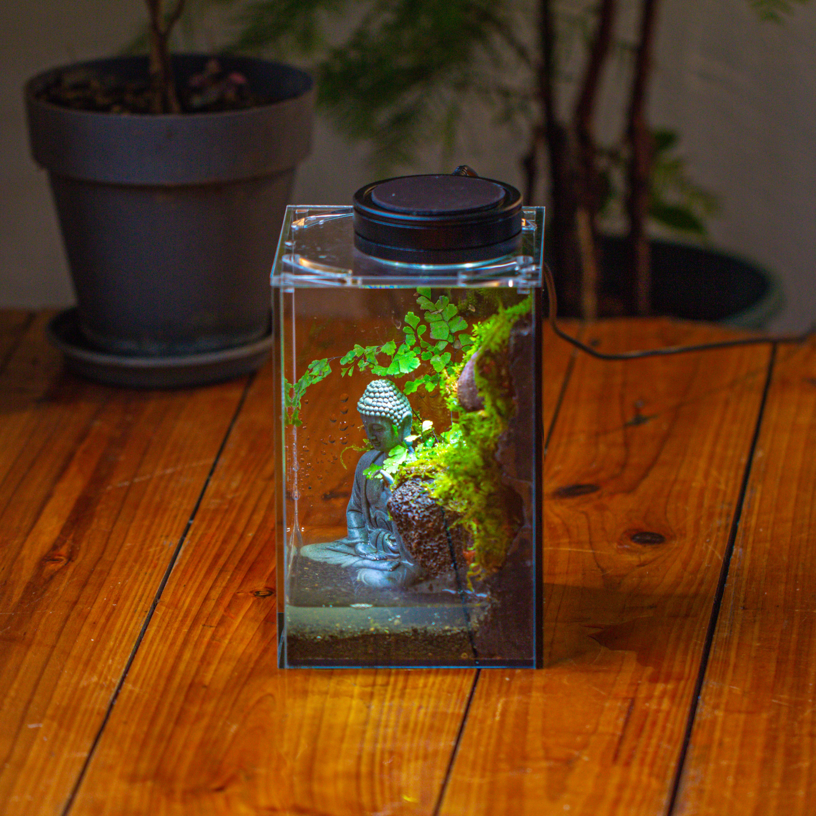 Watertight Glass Terrarium with LED Grow Light, Acrylic Lid for Moss Wall, vertical planting-12x12x18cm / 4.7x4.7x7.1'' - NCYPgarden