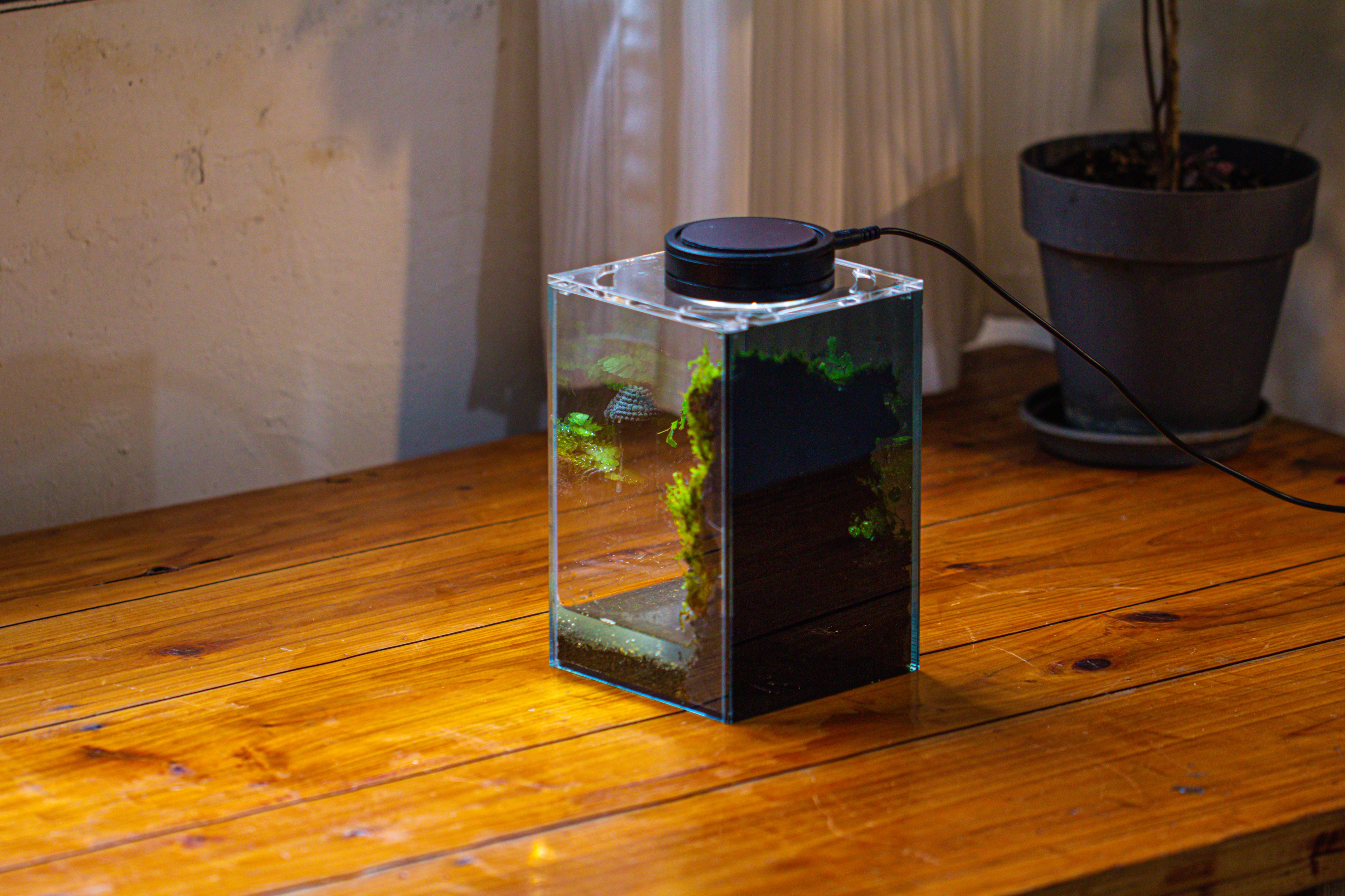 Watertight Glass Terrarium with LED Grow Light, Acrylic Lid for Moss Wall, vertical planting-12x12x18cm / 4.7x4.7x7.1'' - NCYPgarden