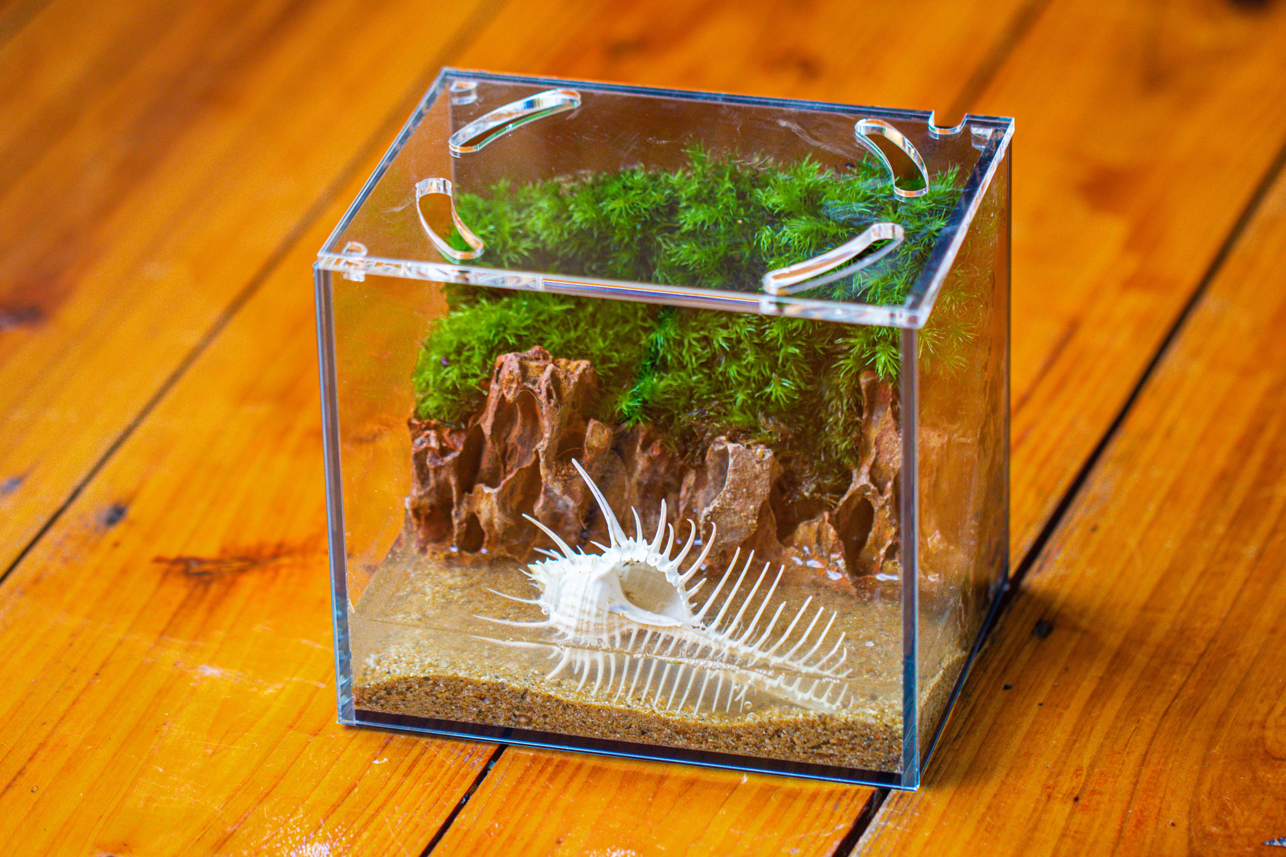 Watertight Glass Terrarium with LED Grow Light, Acrylic Lid for Moss Wall, vertical planting-15x11x13cm / 5.9x4.3x5.1'' - NCYPgarden
