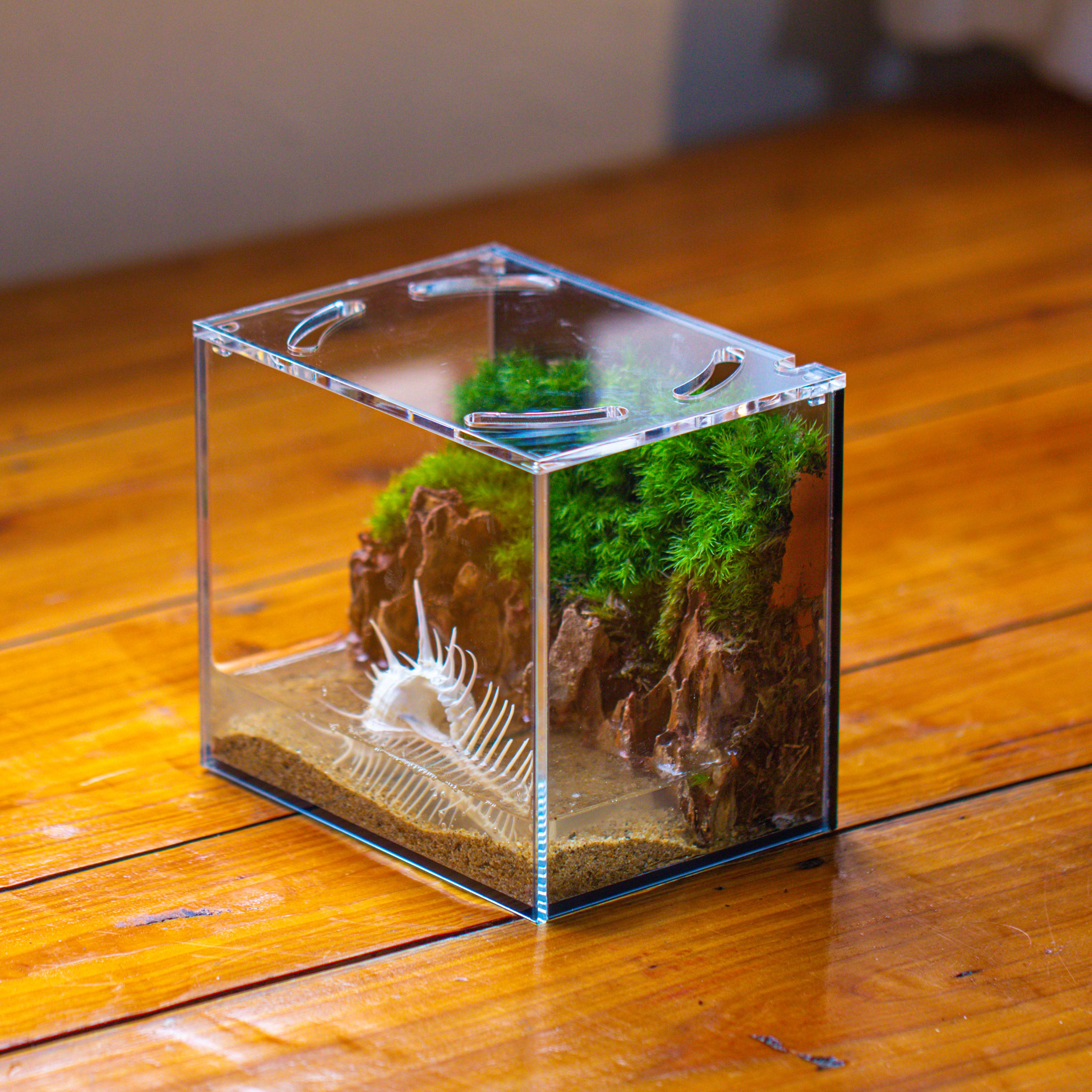 Watertight Glass Terrarium with LED Grow Light, Acrylic Lid for Moss Wall, vertical planting-15x11x13cm / 5.9x4.3x5.1'' - NCYPgarden