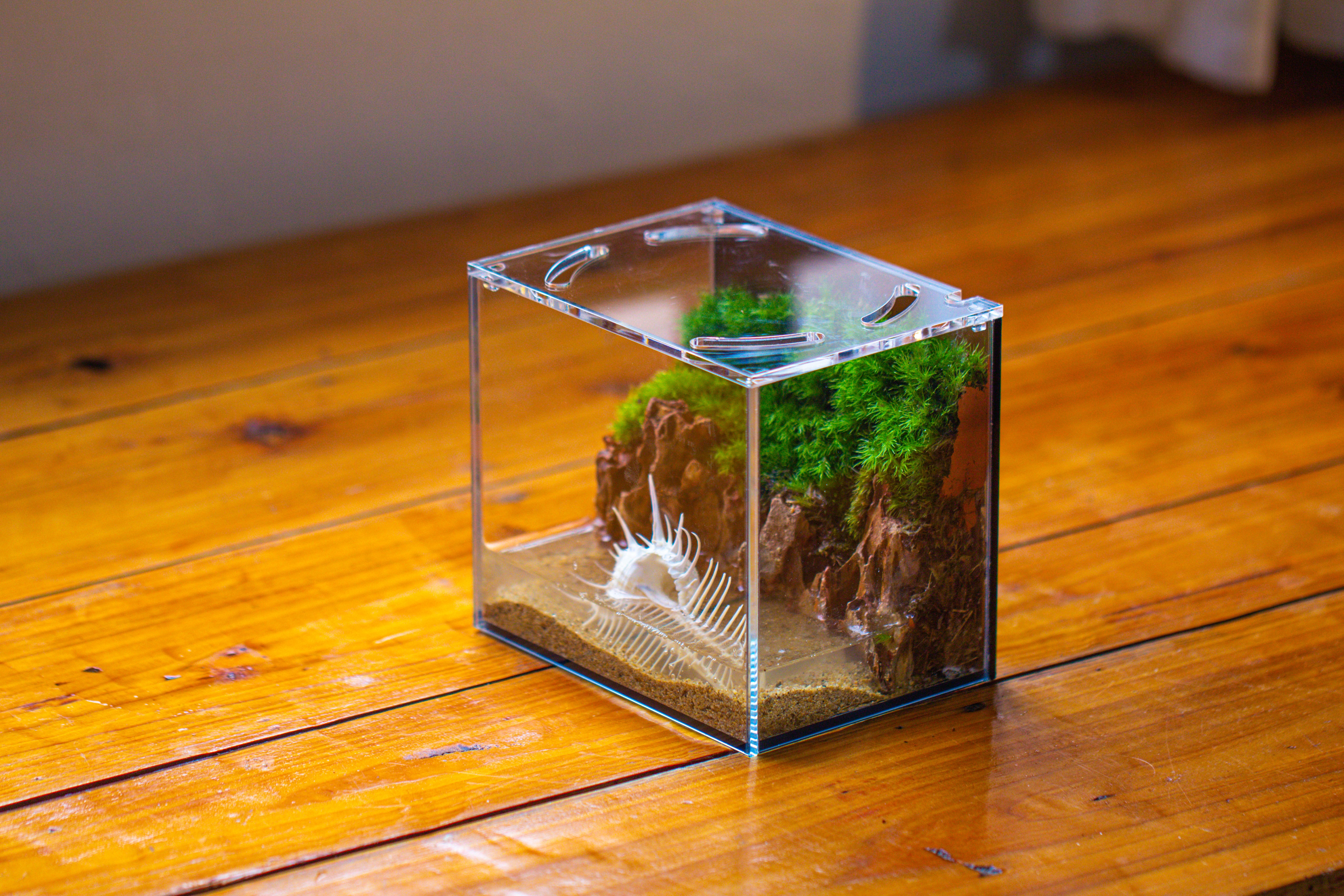 Watertight Glass Terrarium with LED Grow Light, Acrylic Lid for Moss Wall, vertical planting -15x11x13cm / 5.9x4.3x5.1'' - NCYPgarden