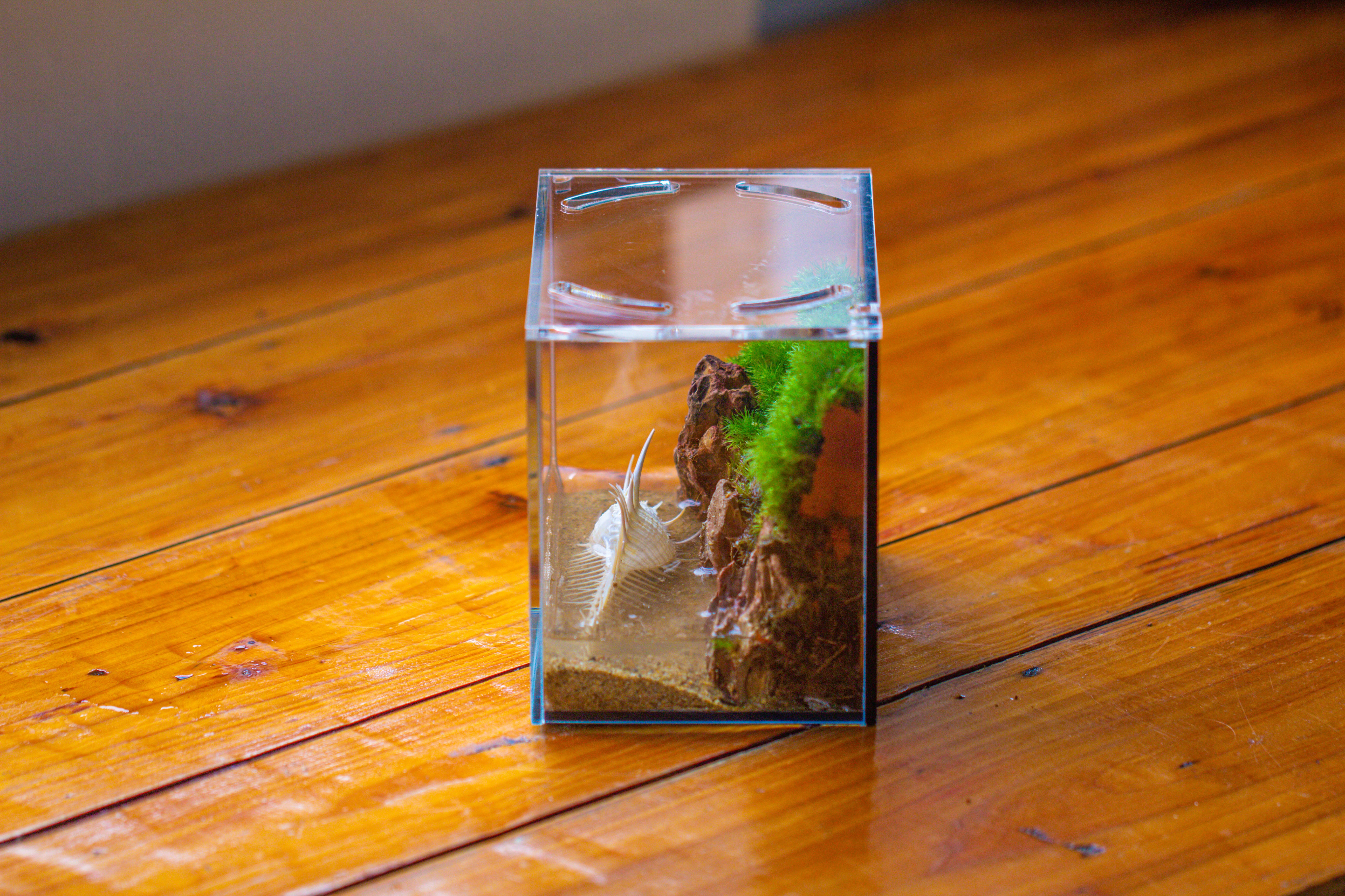 Watertight Glass Terrarium with LED Grow Light, Acrylic Lid for Moss Wall, vertical planting-15x11x13cm / 5.9x4.3x5.1'' - NCYPgarden