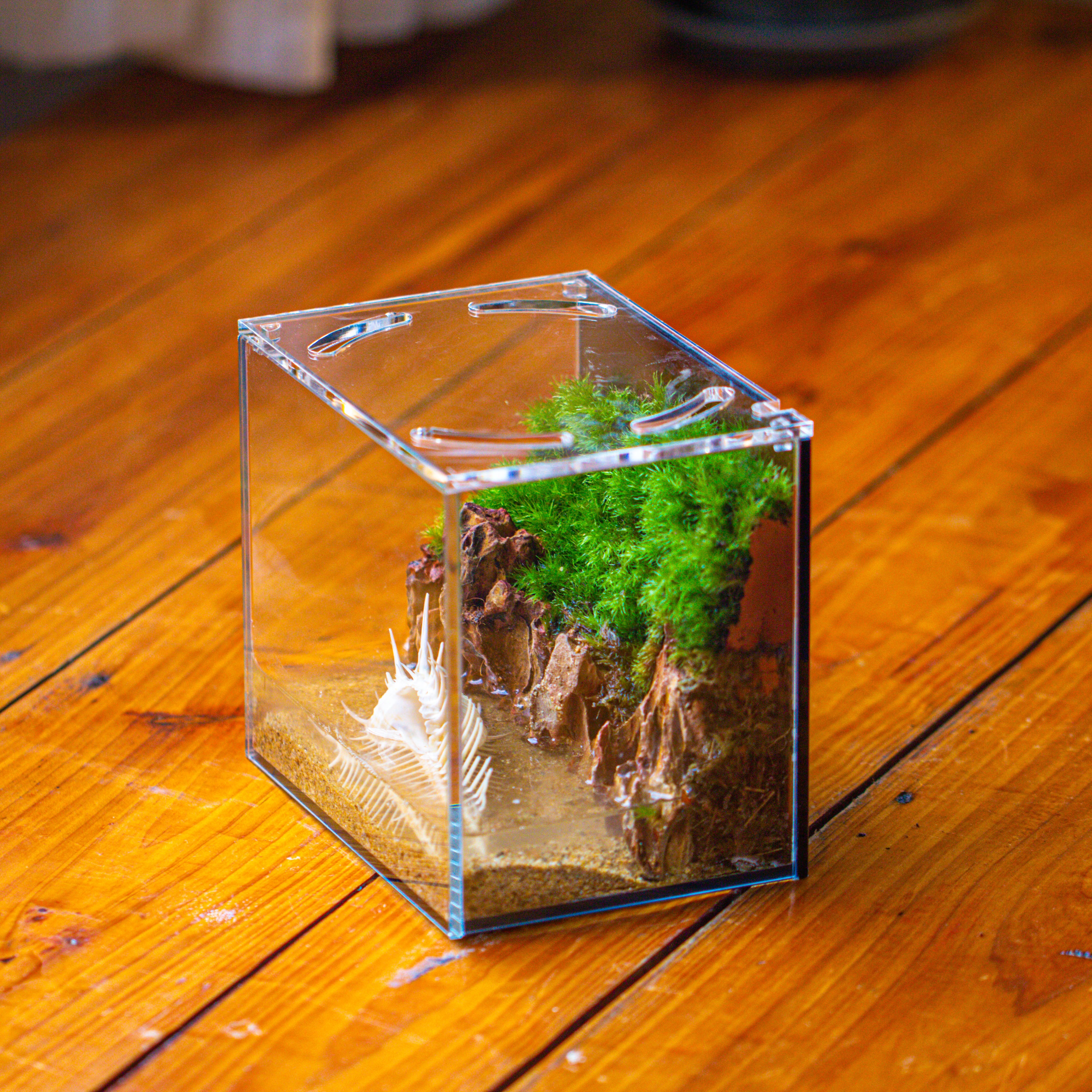 Watertight Glass Terrarium with LED Grow Light, Acrylic Lid for Moss Wall, vertical planting-15x11x13cm / 5.9x4.3x5.1'' - NCYPgarden