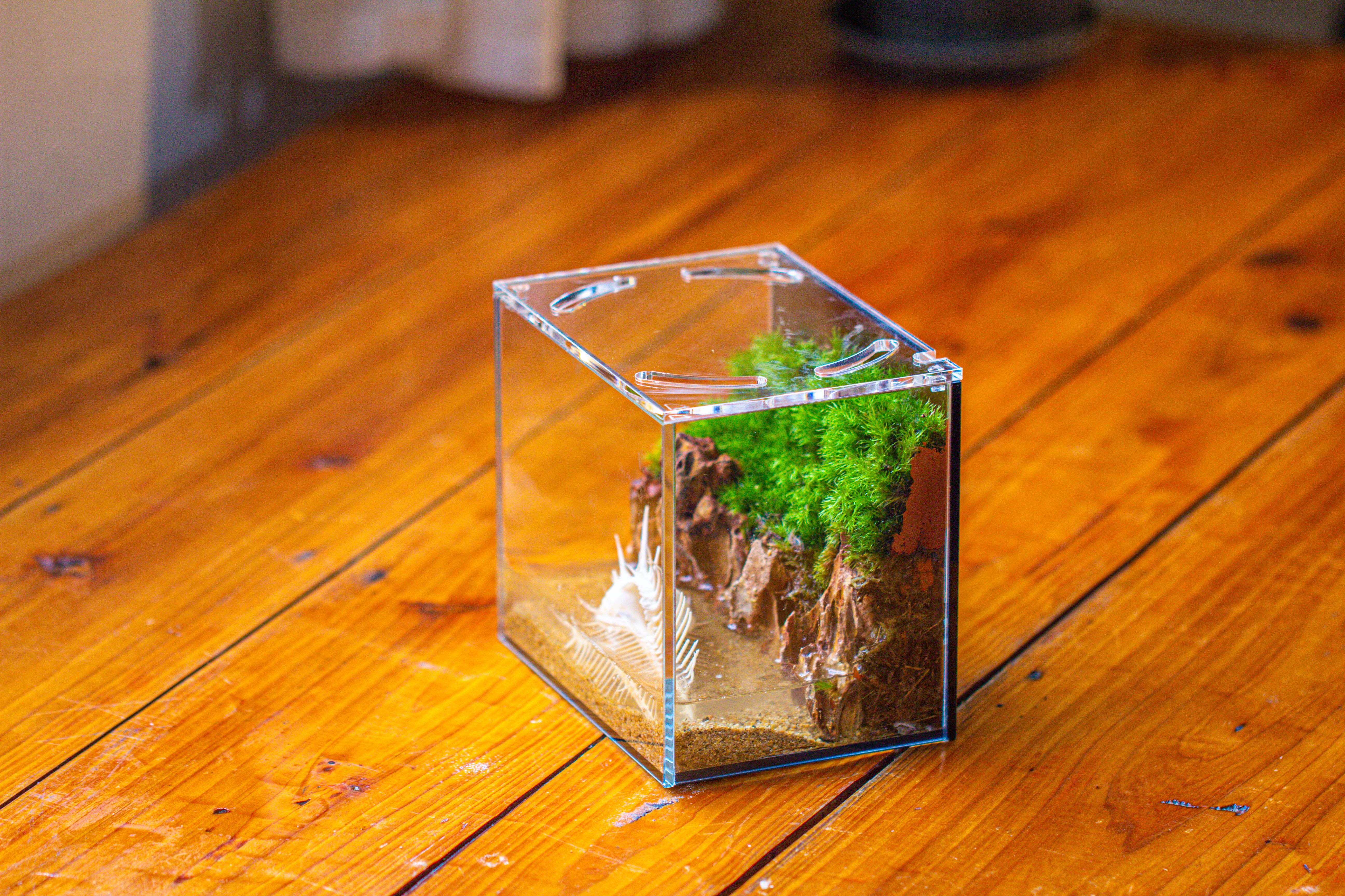 Watertight Glass Terrarium with LED Grow Light, Acrylic Lid for Moss Wall, vertical planting -15x11x13cm / 5.9x4.3x5.1'' - NCYPgarden