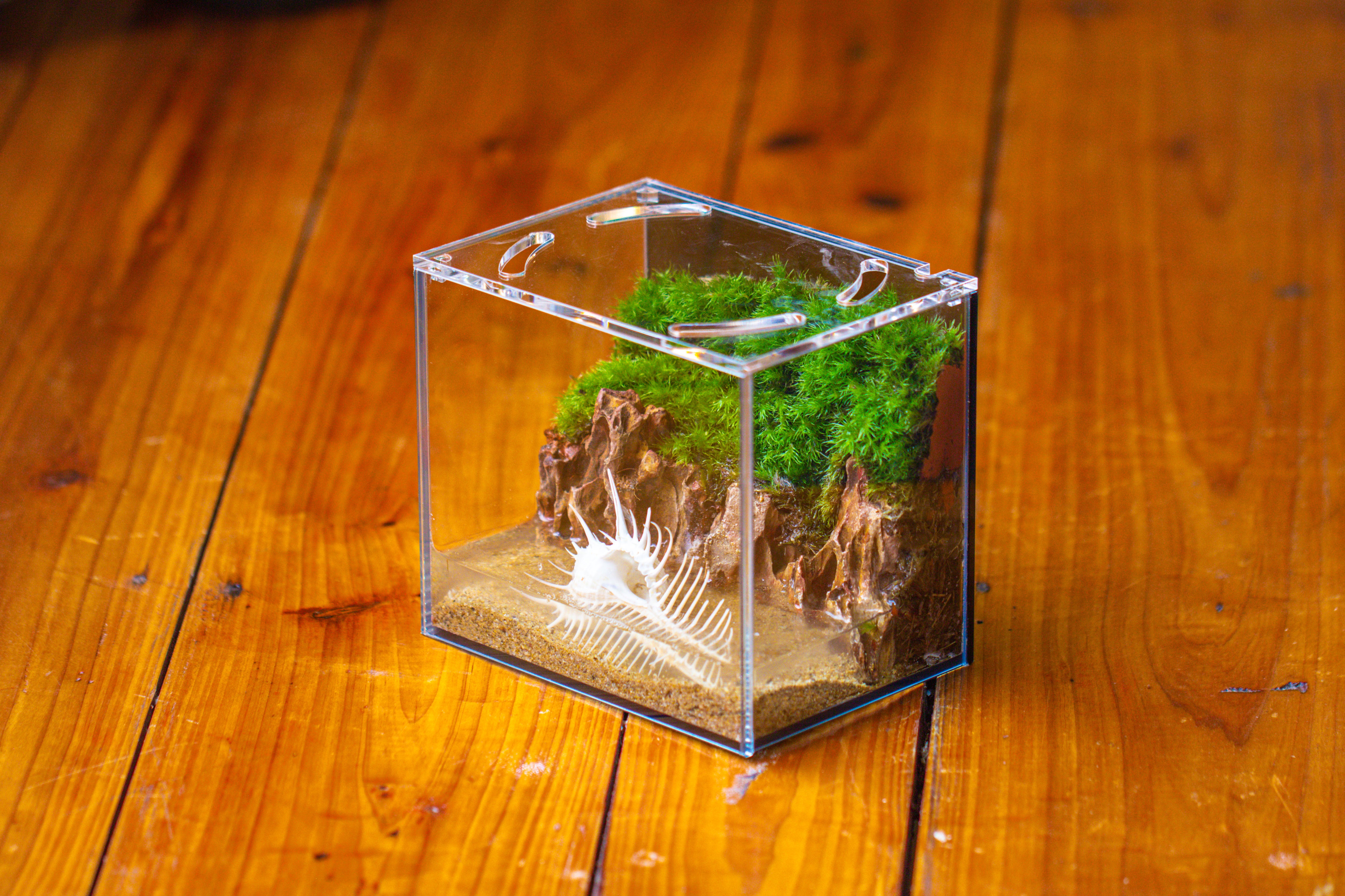 Watertight Glass Terrarium with LED Grow Light, Acrylic Lid for Moss Wall, vertical planting-15x11x13cm / 5.9x4.3x5.1'' - NCYPgarden