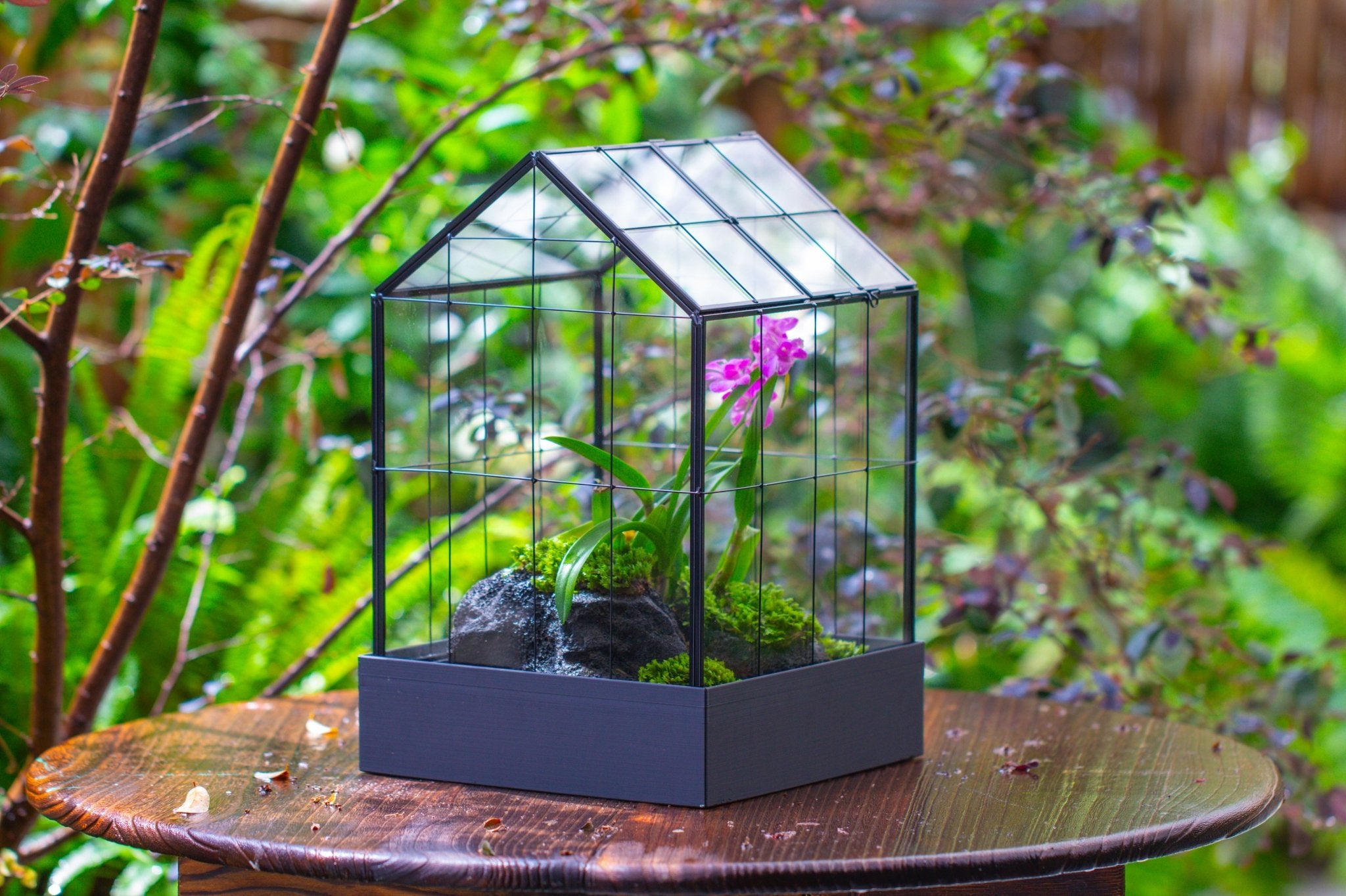 11” Vintage Greenhouse Glass Terrarium with Water - Holding Tray and Top Door - NCYPgarden