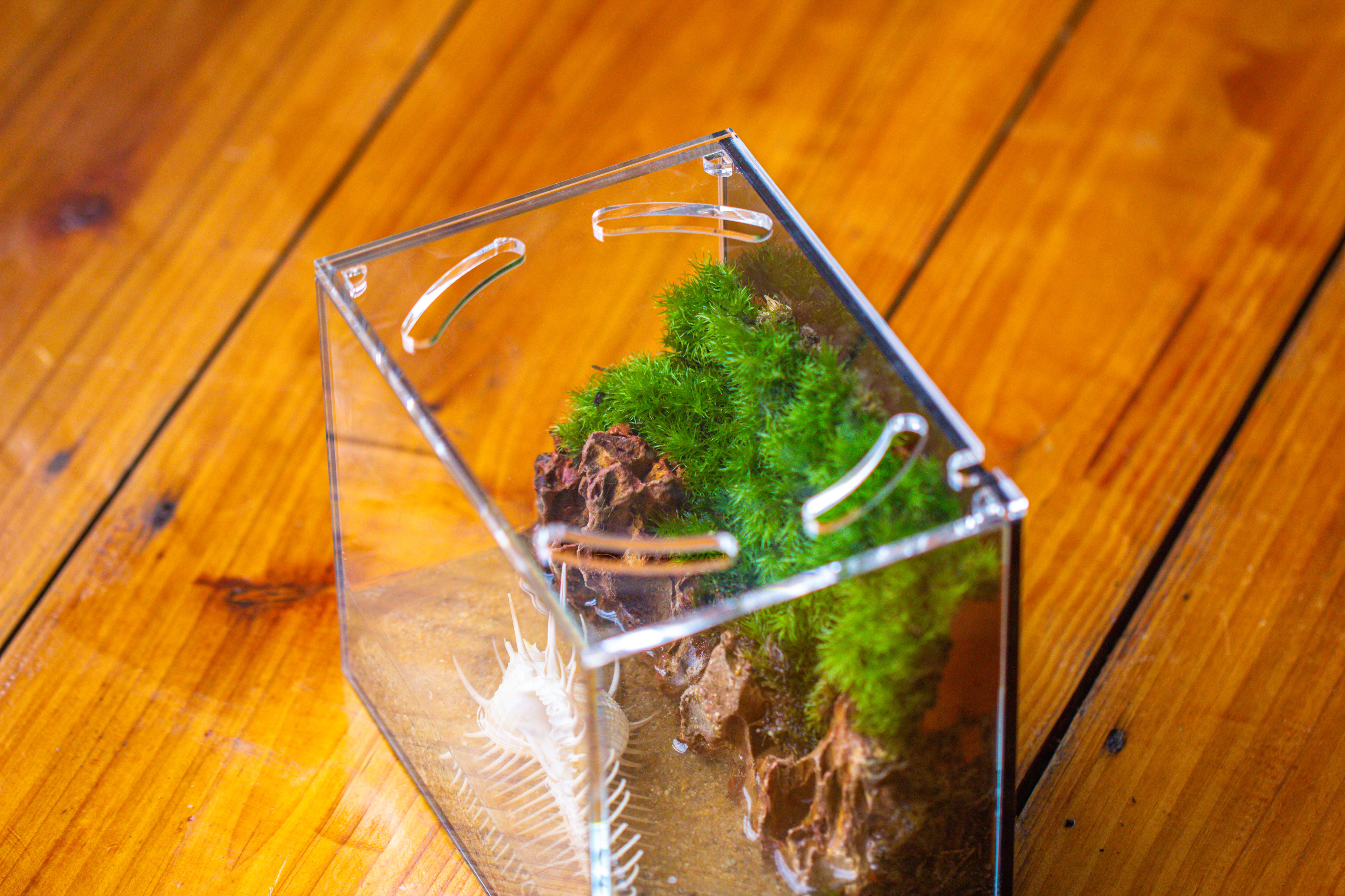 Watertight Glass Terrarium with LED Grow Light, Acrylic Lid for Moss Wall, vertical planting-15x11x13cm / 5.9x4.3x5.1'' - NCYPgarden