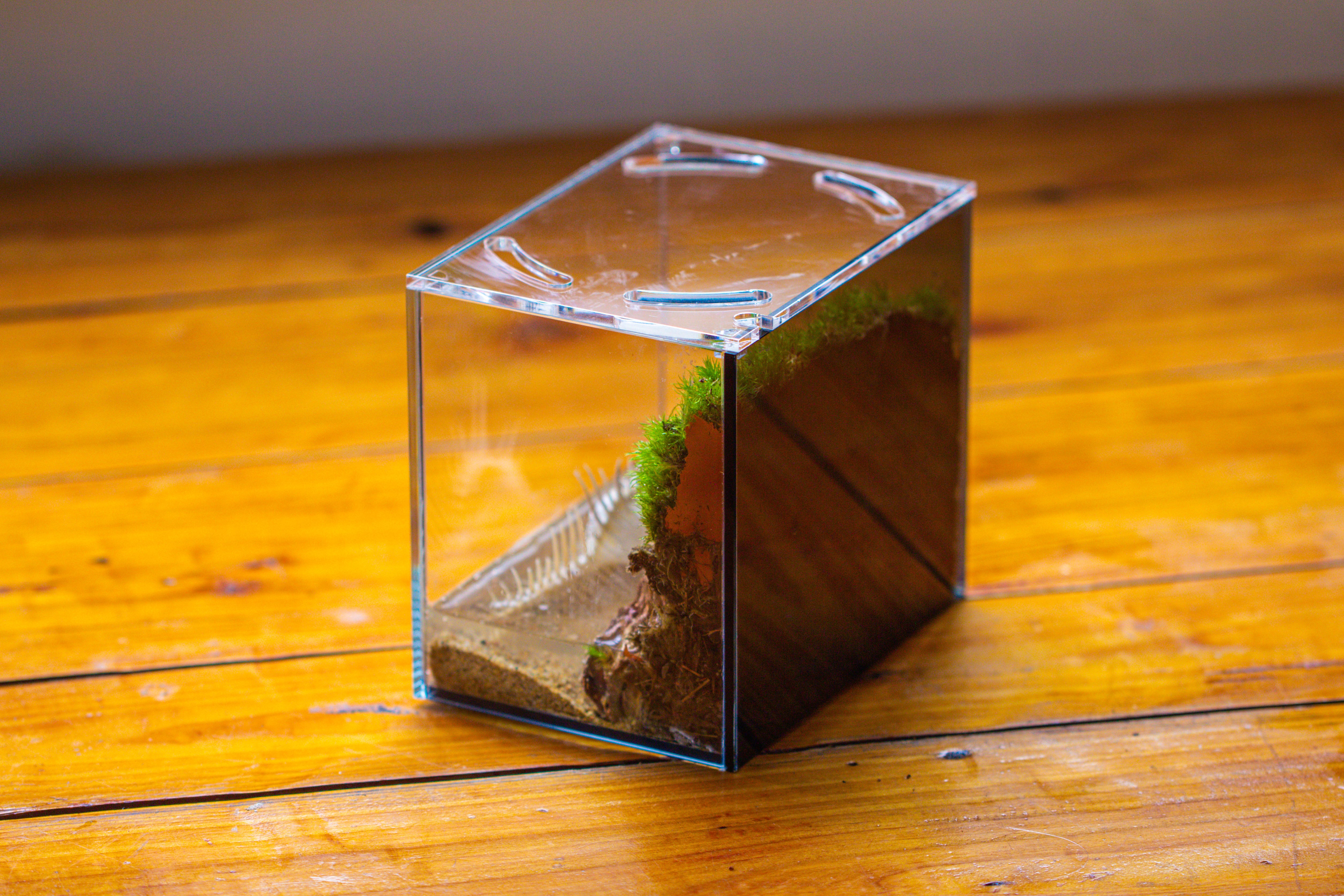 Watertight Glass Terrarium with LED Grow Light, Acrylic Lid for Moss Wall, vertical planting-15x11x13cm / 5.9x4.3x5.1'' - NCYPgarden