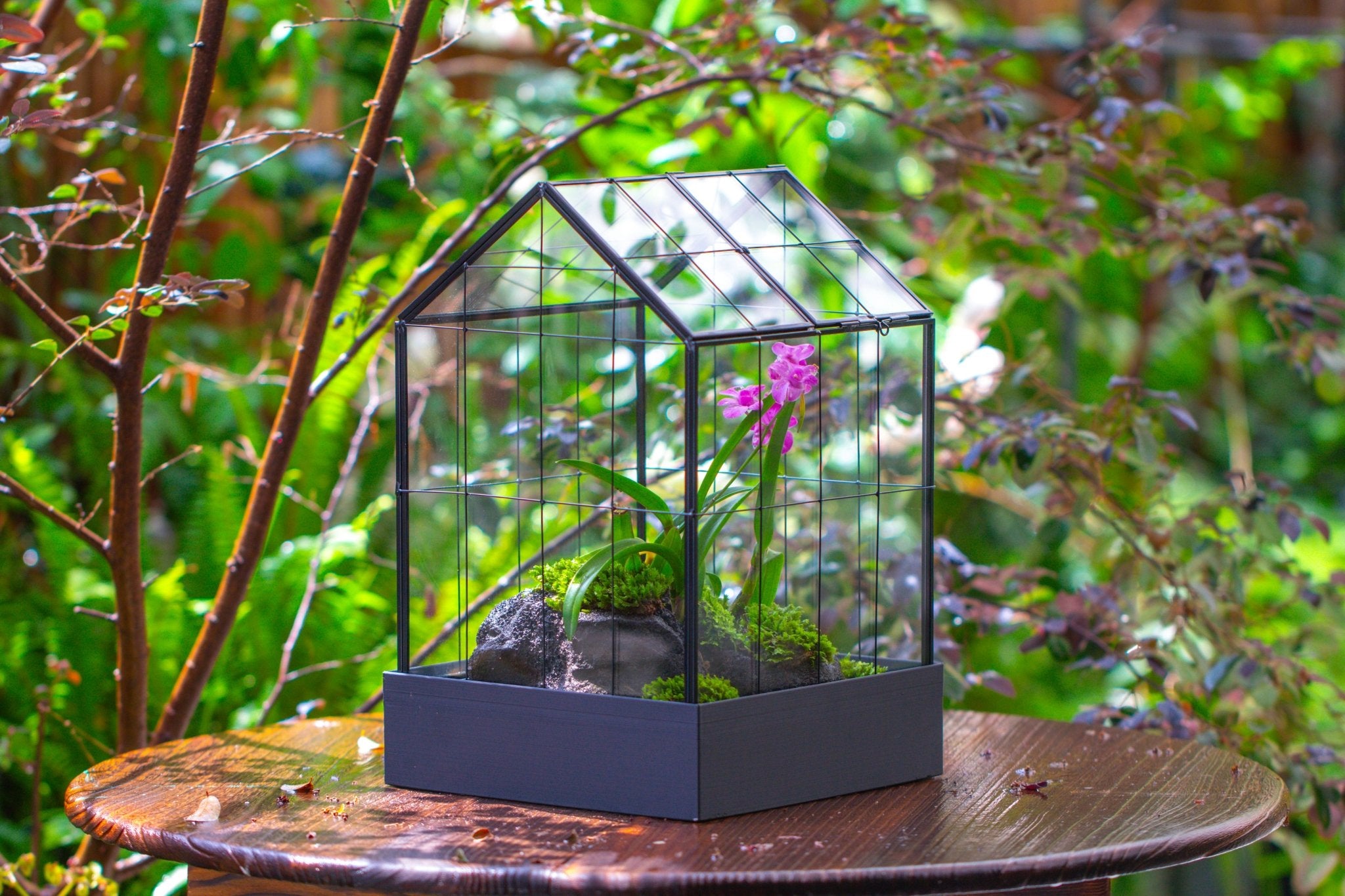 11” Vintage Greenhouse Glass Terrarium with Water - Holding Tray and Top Door - NCYPgarden
