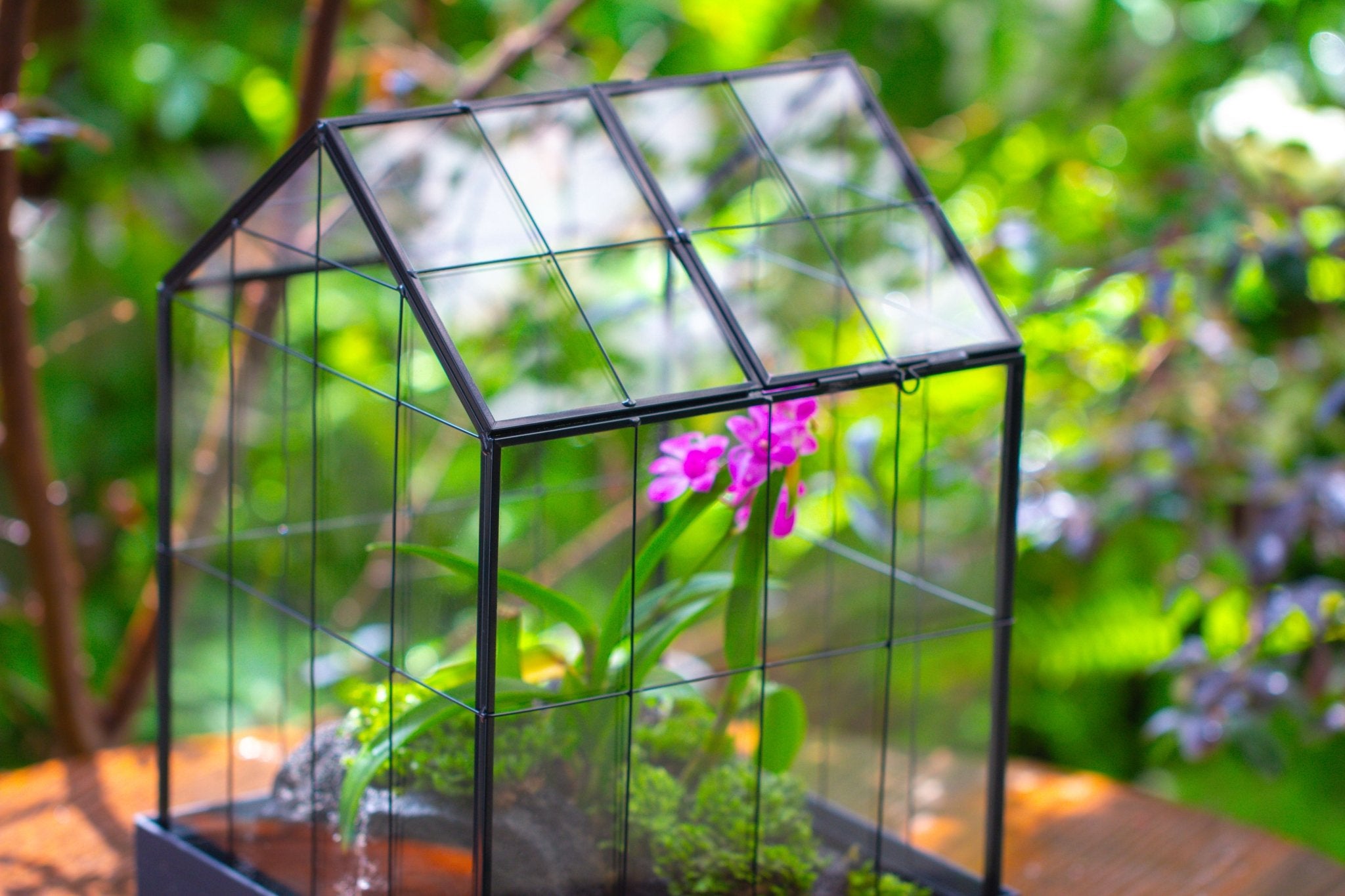 11” Vintage Greenhouse Glass Terrarium with Water - Holding Tray and Top Door - NCYPgarden