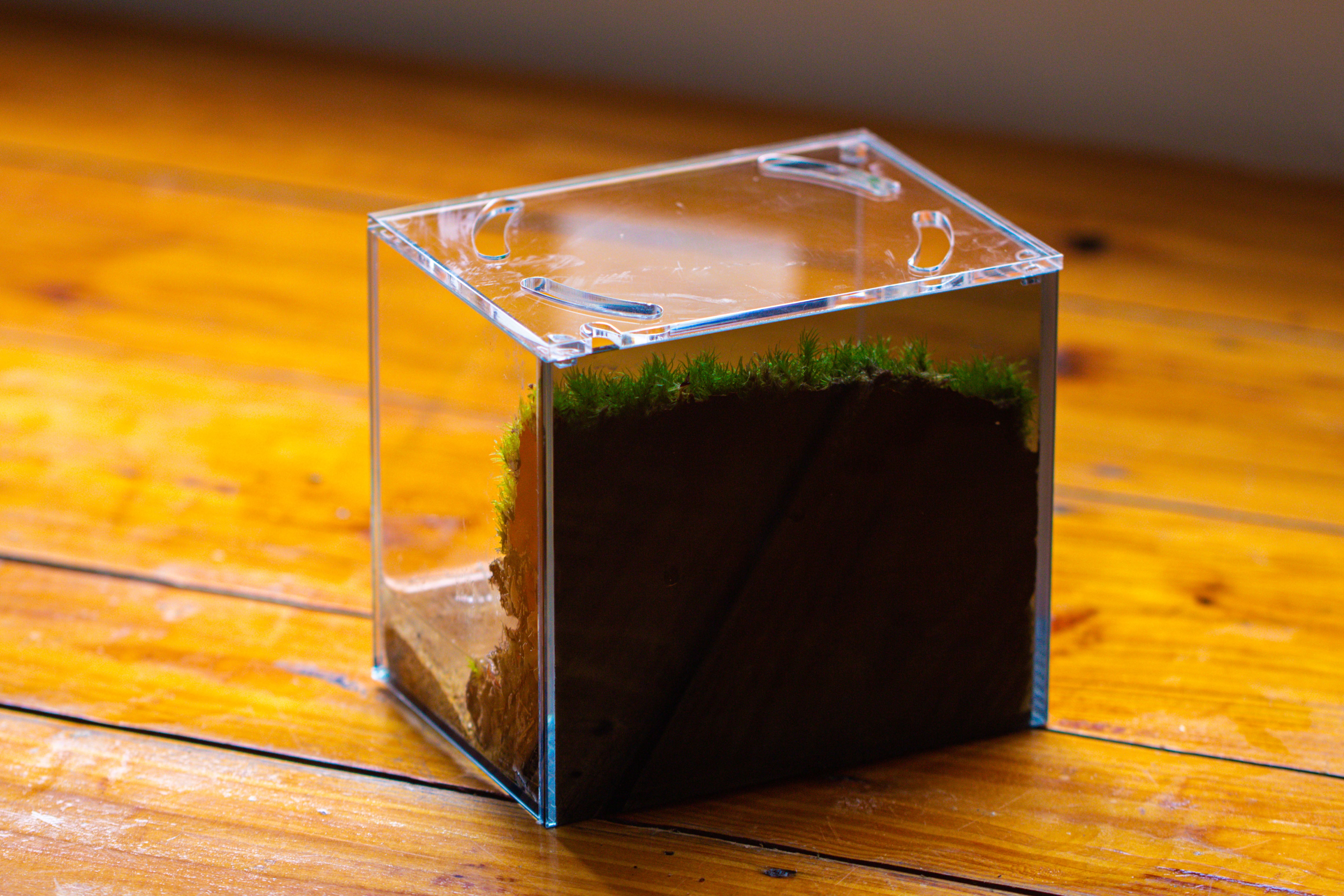 Watertight Glass Terrarium with LED Grow Light, Acrylic Lid for Moss Wall, vertical planting -15x11x13cm / 5.9x4.3x5.1'' - NCYPgarden