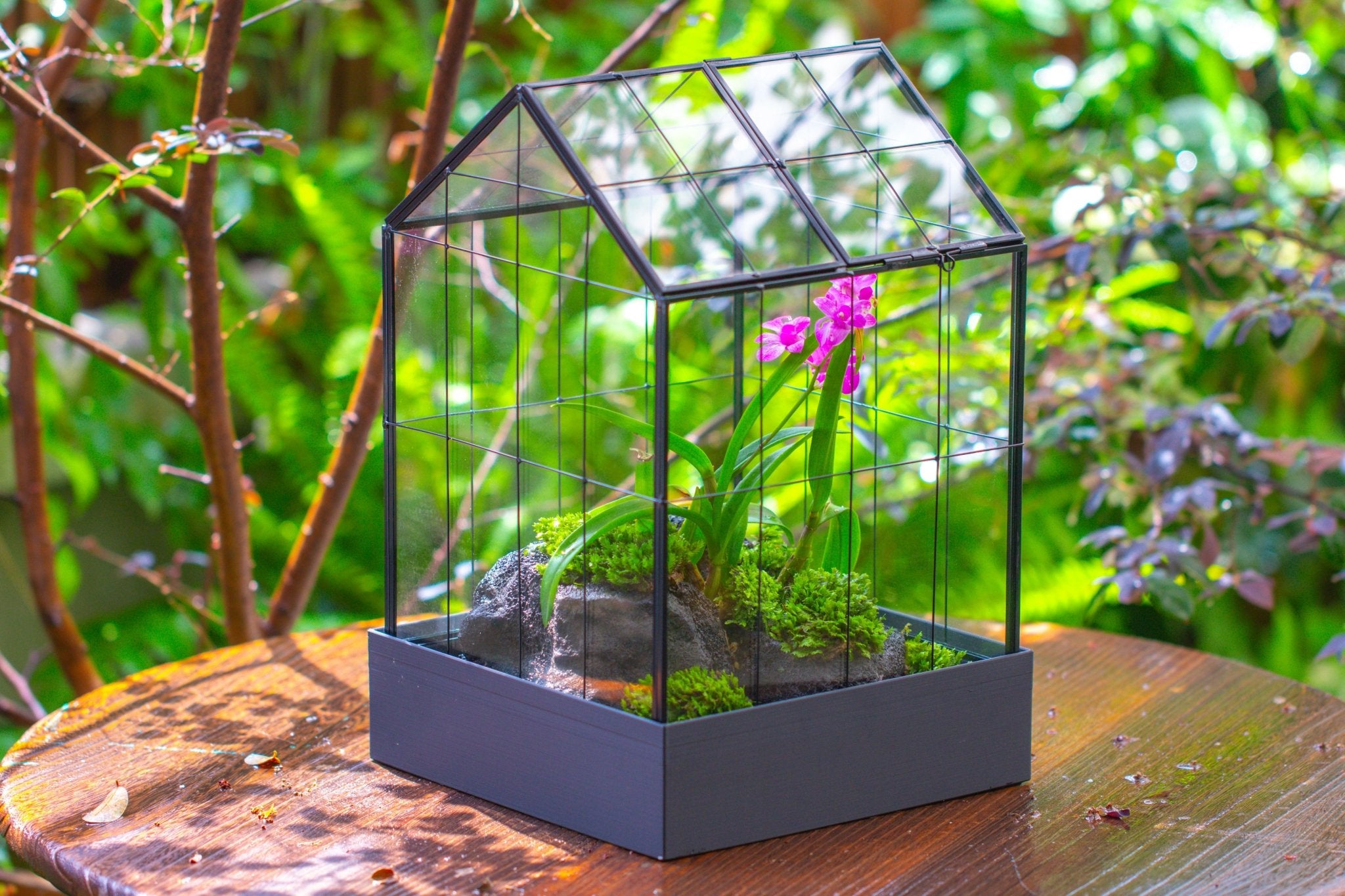 11” Vintage Greenhouse Glass Terrarium with Water - Holding Tray and Top Door - NCYPgarden