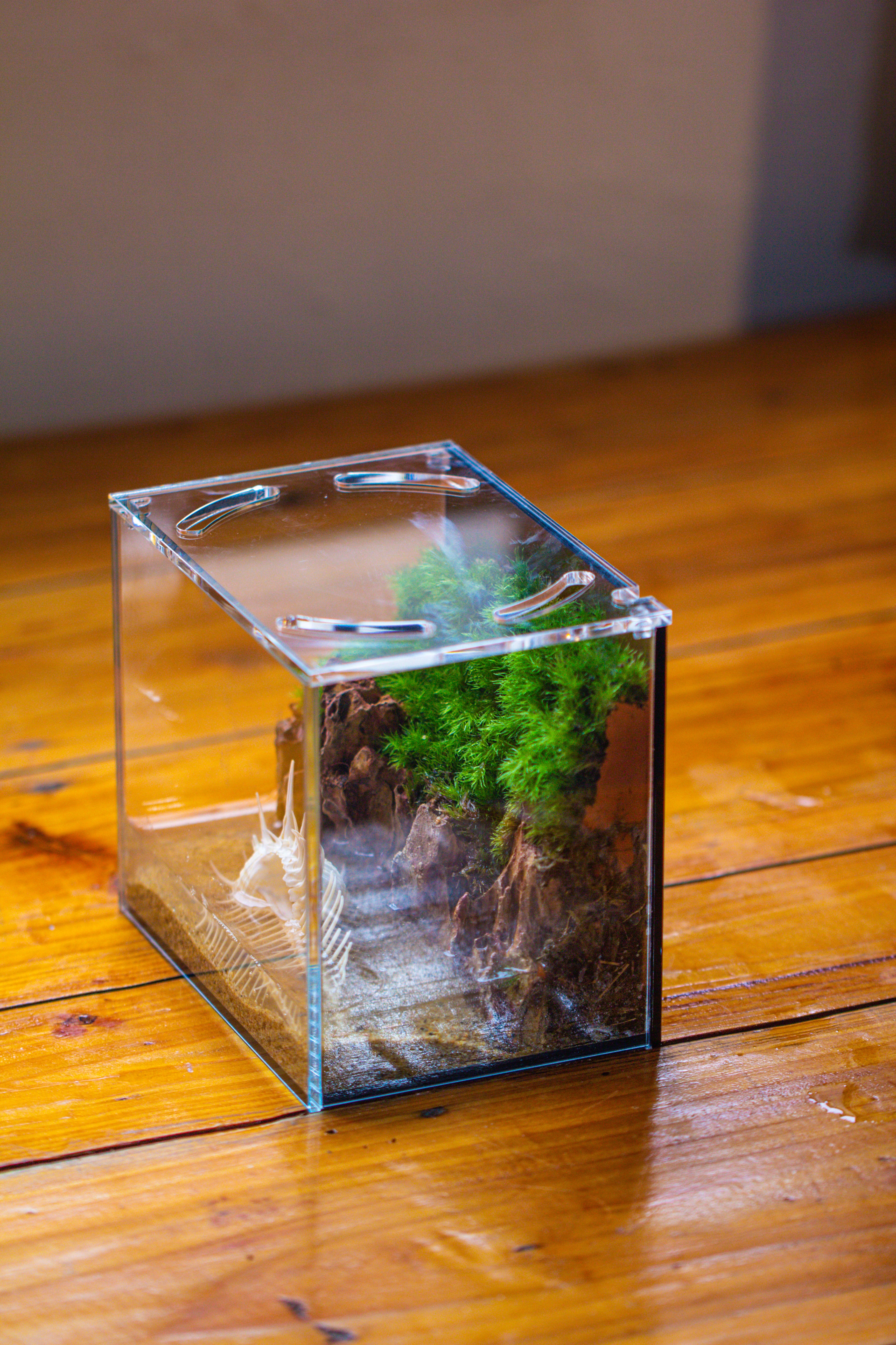 Watertight Glass Terrarium with LED Grow Light, Acrylic Lid for Moss Wall, vertical planting -15x11x13cm / 5.9x4.3x5.1'' - NCYPgarden