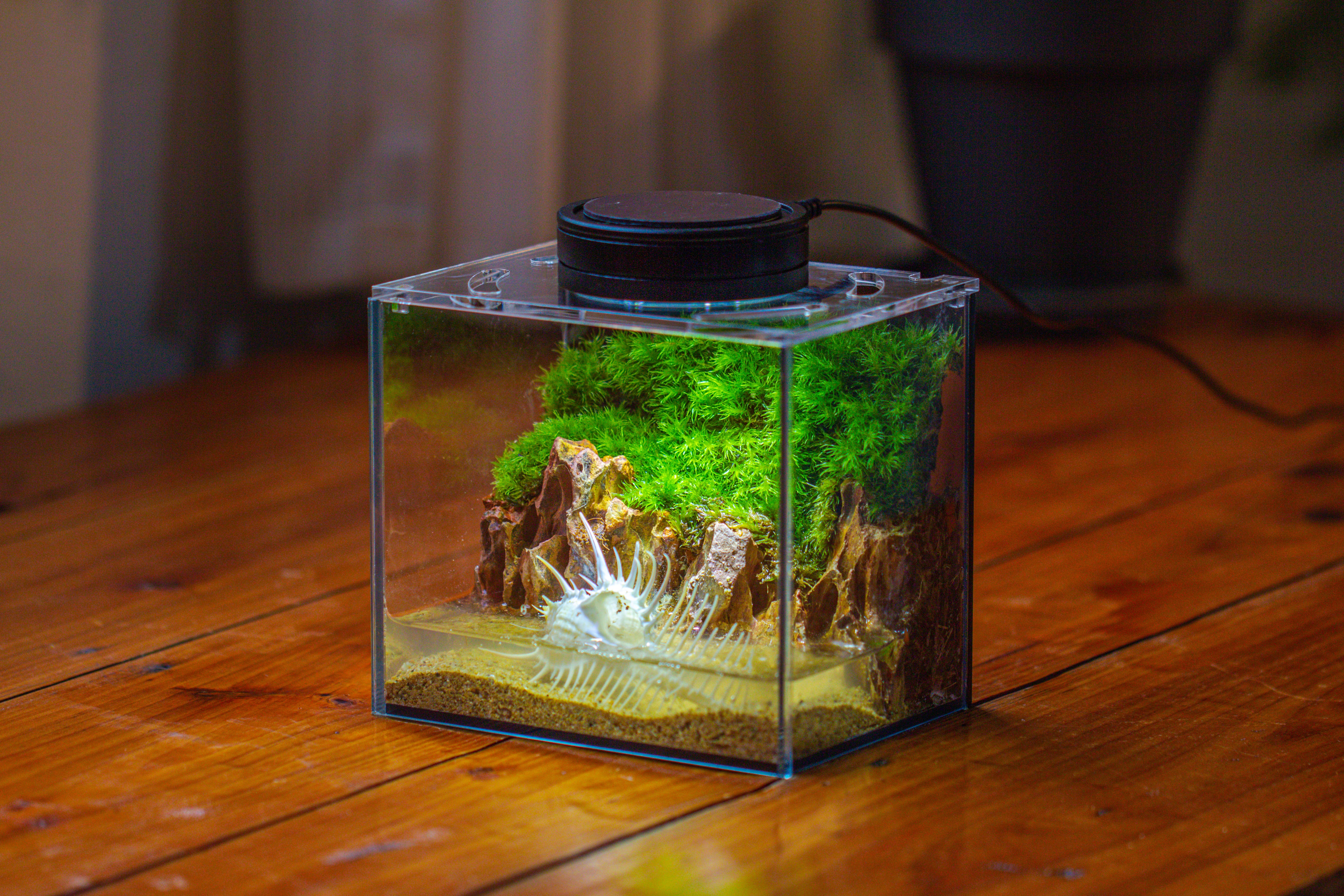 Watertight Glass Terrarium with LED Grow Light, Acrylic Lid for Moss Wall, vertical planting -15x11x13cm / 5.9x4.3x5.1'' - NCYPgarden
