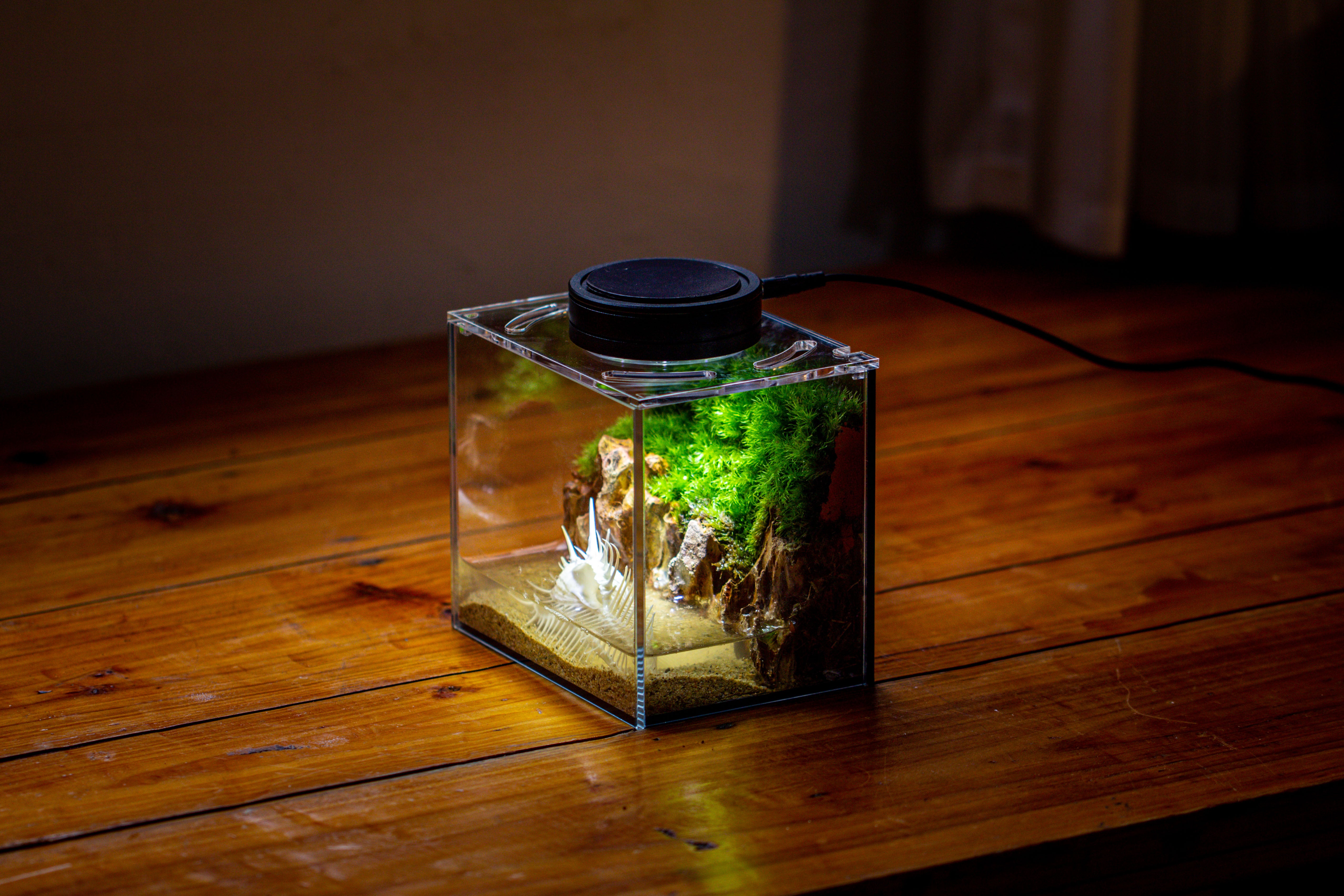 Watertight Glass Terrarium with LED Grow Light, Acrylic Lid for Moss Wall, vertical planting -15x11x13cm / 5.9x4.3x5.1'' - NCYPgarden