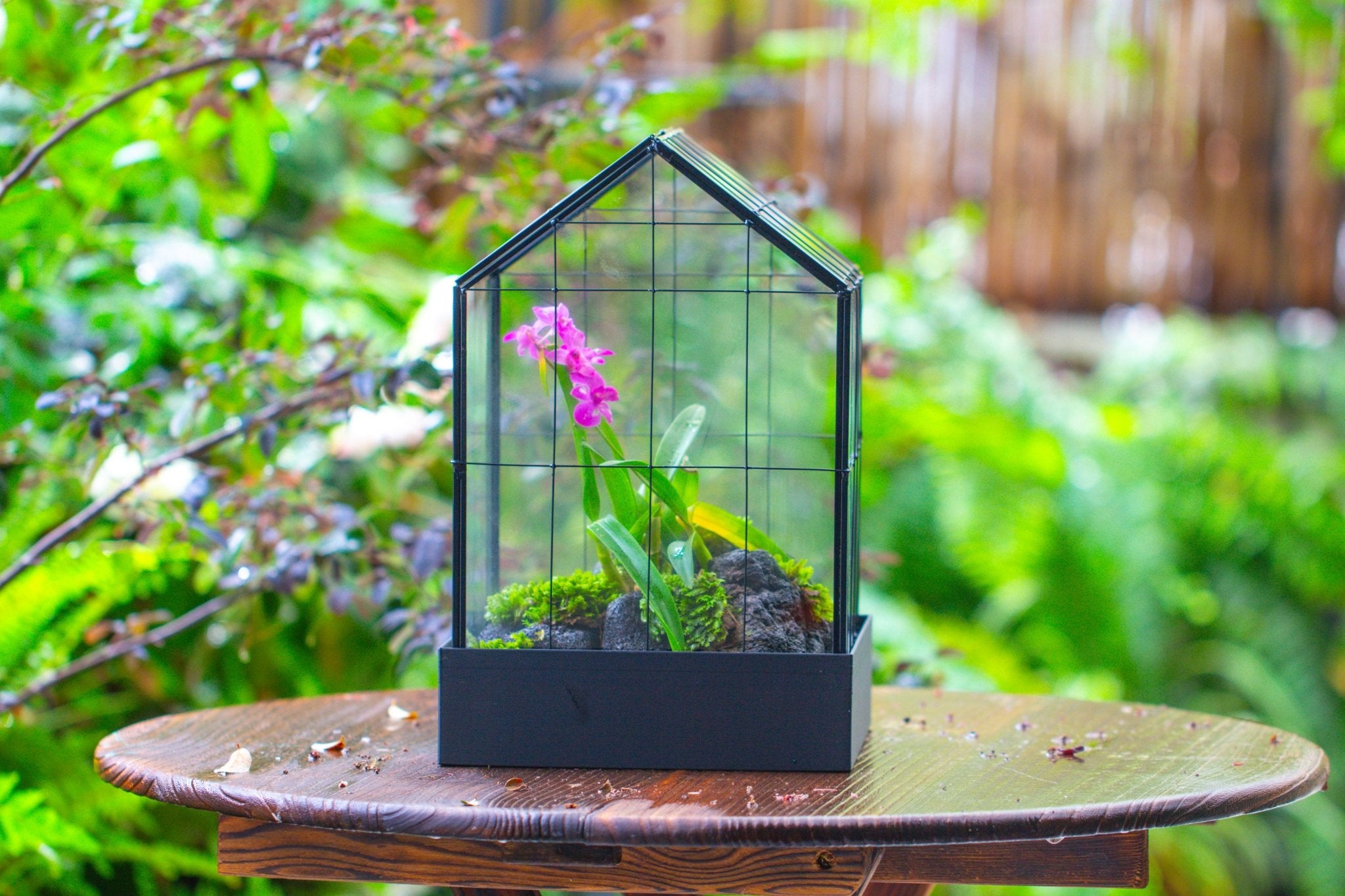 11” Vintage Greenhouse Glass Terrarium with Water - Holding Tray and Top Door - NCYPgarden