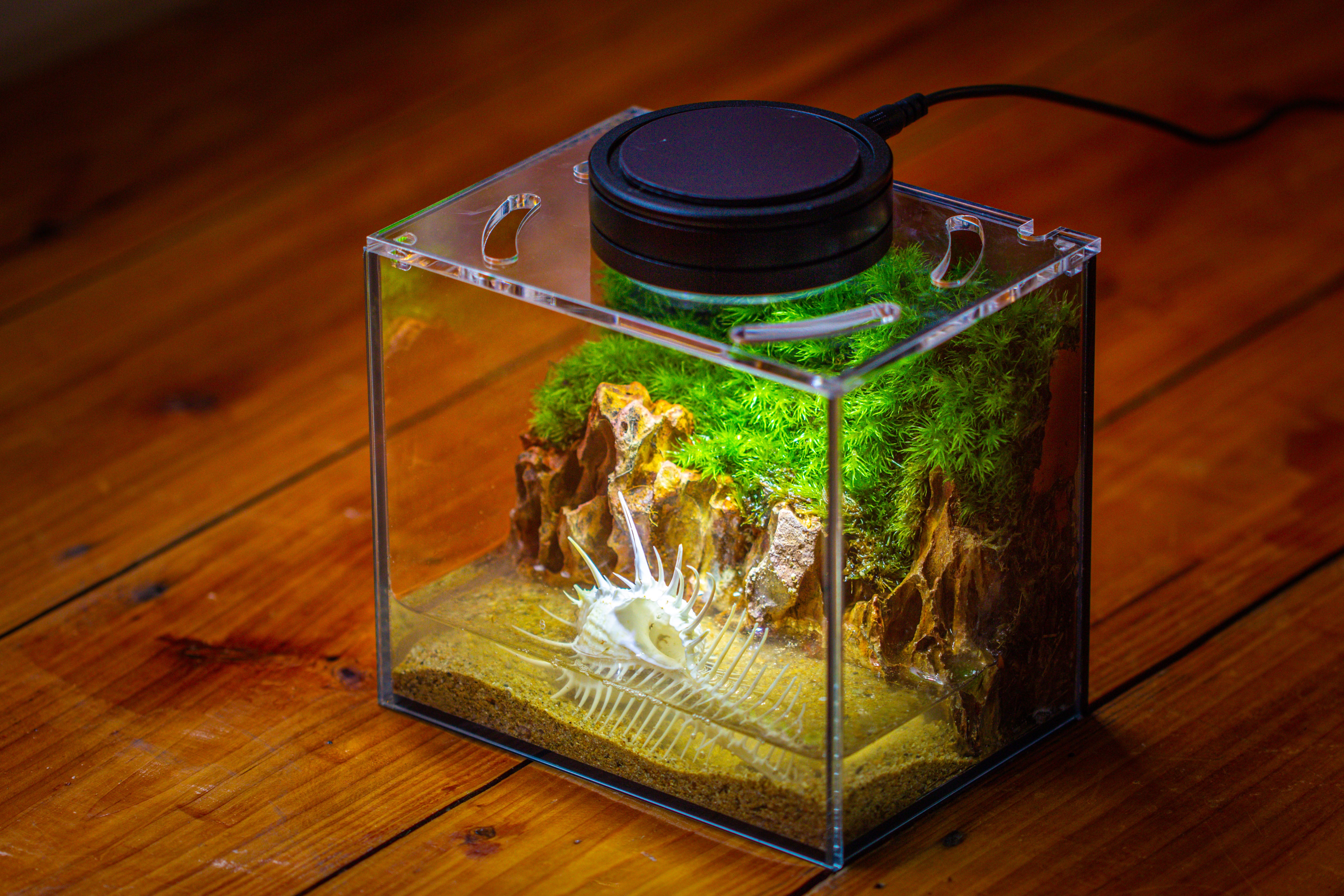 Watertight Glass Terrarium with LED Grow Light, Acrylic Lid for Moss Wall, vertical planting -15x11x13cm / 5.9x4.3x5.1'' - NCYPgarden
