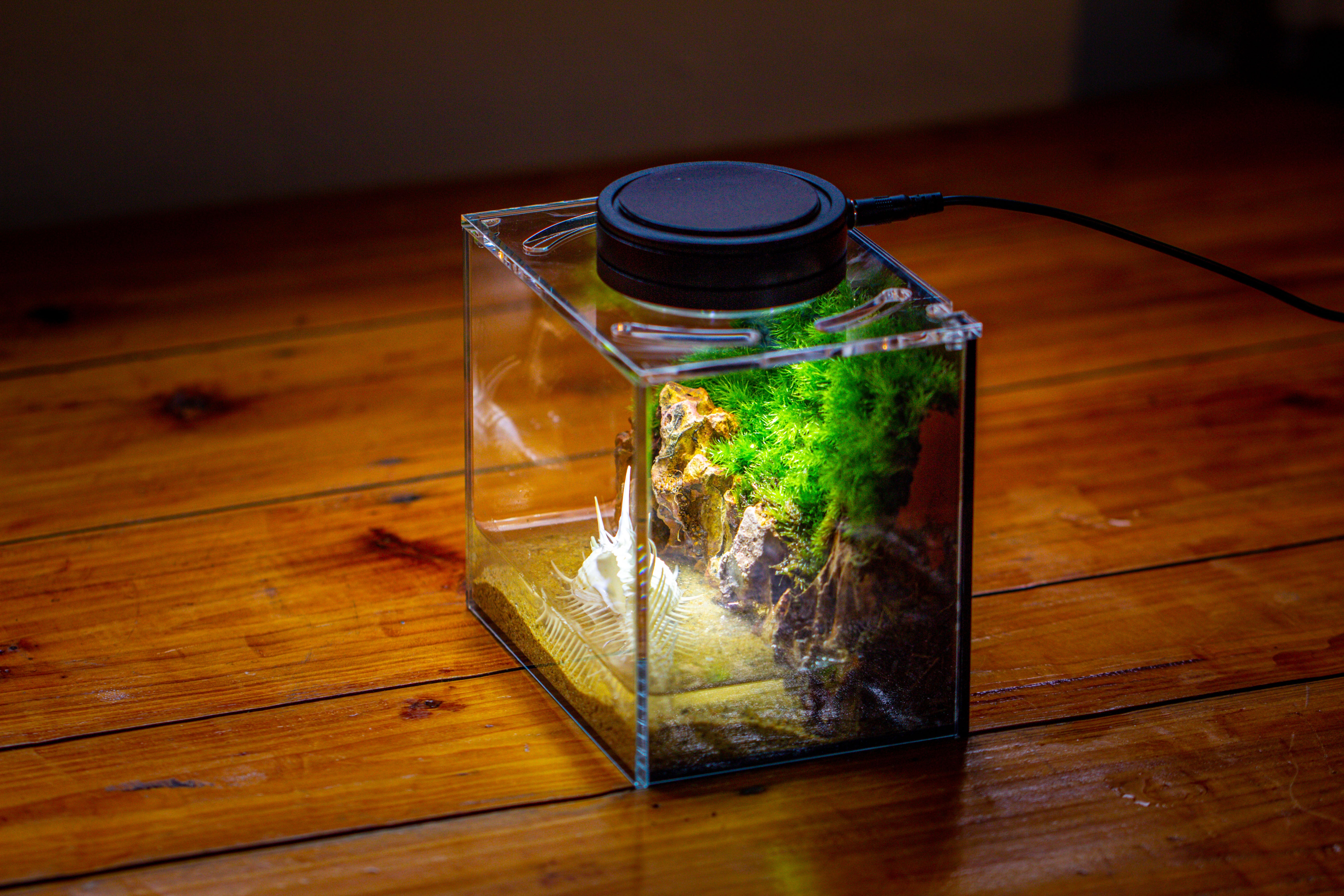 Watertight Glass Terrarium with LED Grow Light, Acrylic Lid for Moss Wall, vertical planting -15x11x13cm / 5.9x4.3x5.1'' - NCYPgarden
