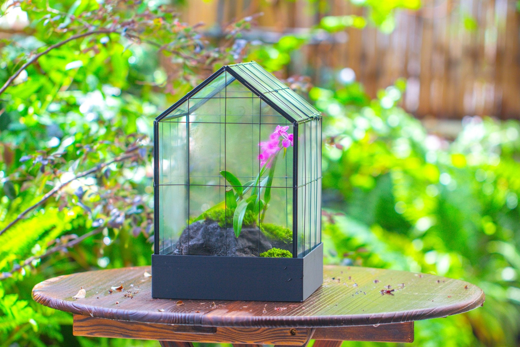 11” Vintage Greenhouse Glass Terrarium with Water - Holding Tray and Top Door - NCYPgarden