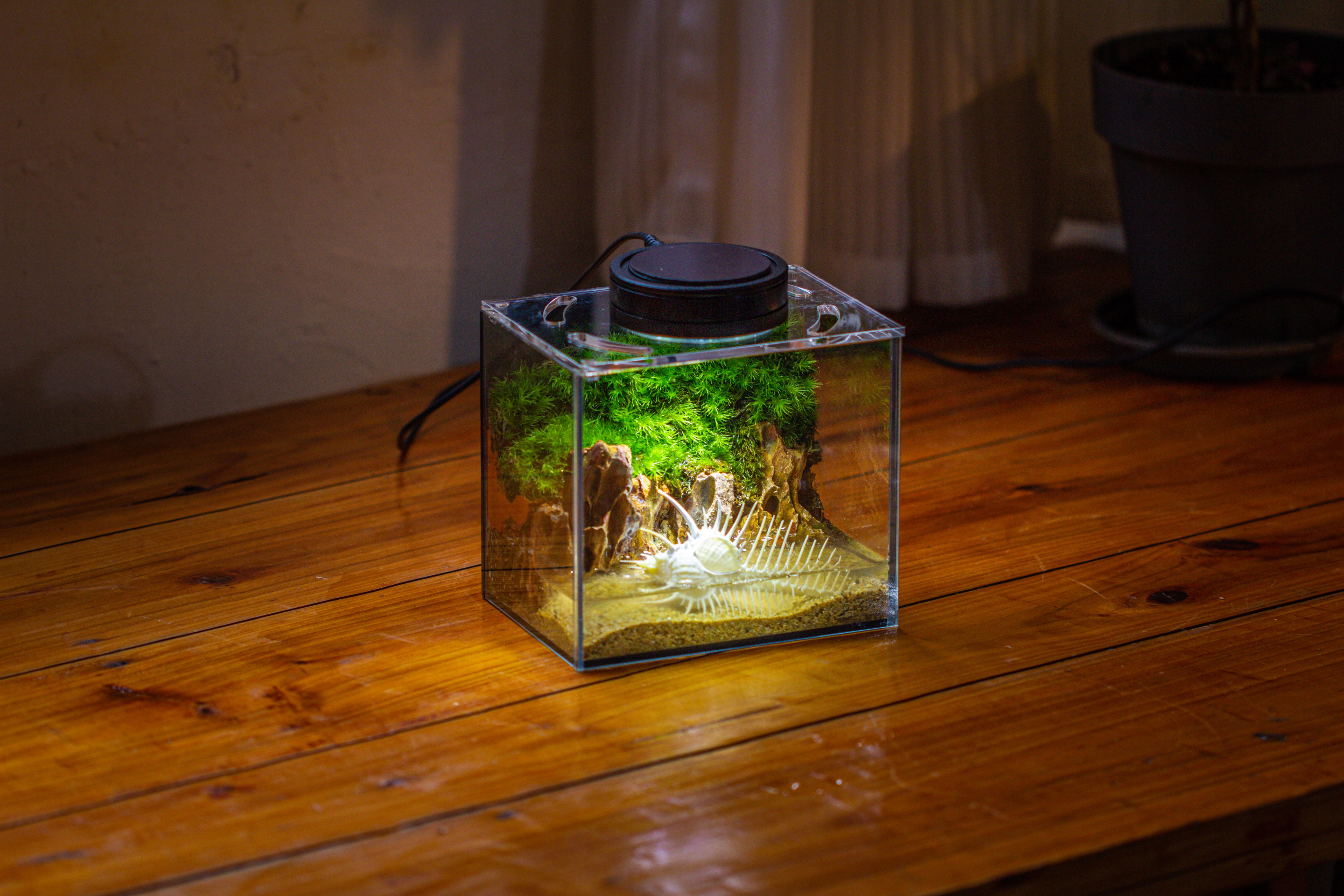 Watertight Glass Terrarium with LED Grow Light, Acrylic Lid for Moss Wall, vertical planting -15x11x13cm / 5.9x4.3x5.1'' - NCYPgarden