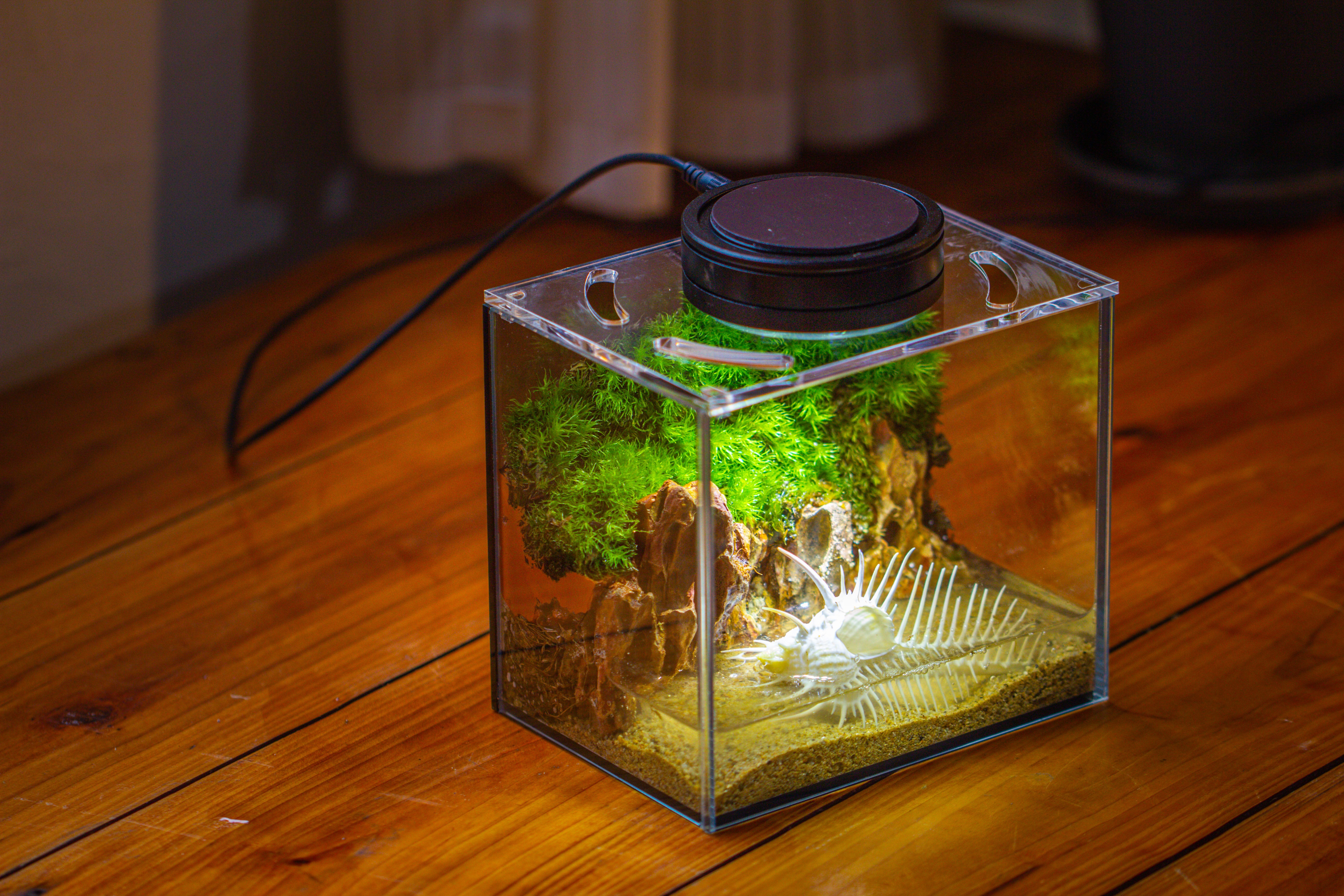Watertight Glass Terrarium with LED Grow Light, Acrylic Lid for Moss Wall, vertical planting-15x11x13cm / 5.9x4.3x5.1'' - NCYPgarden