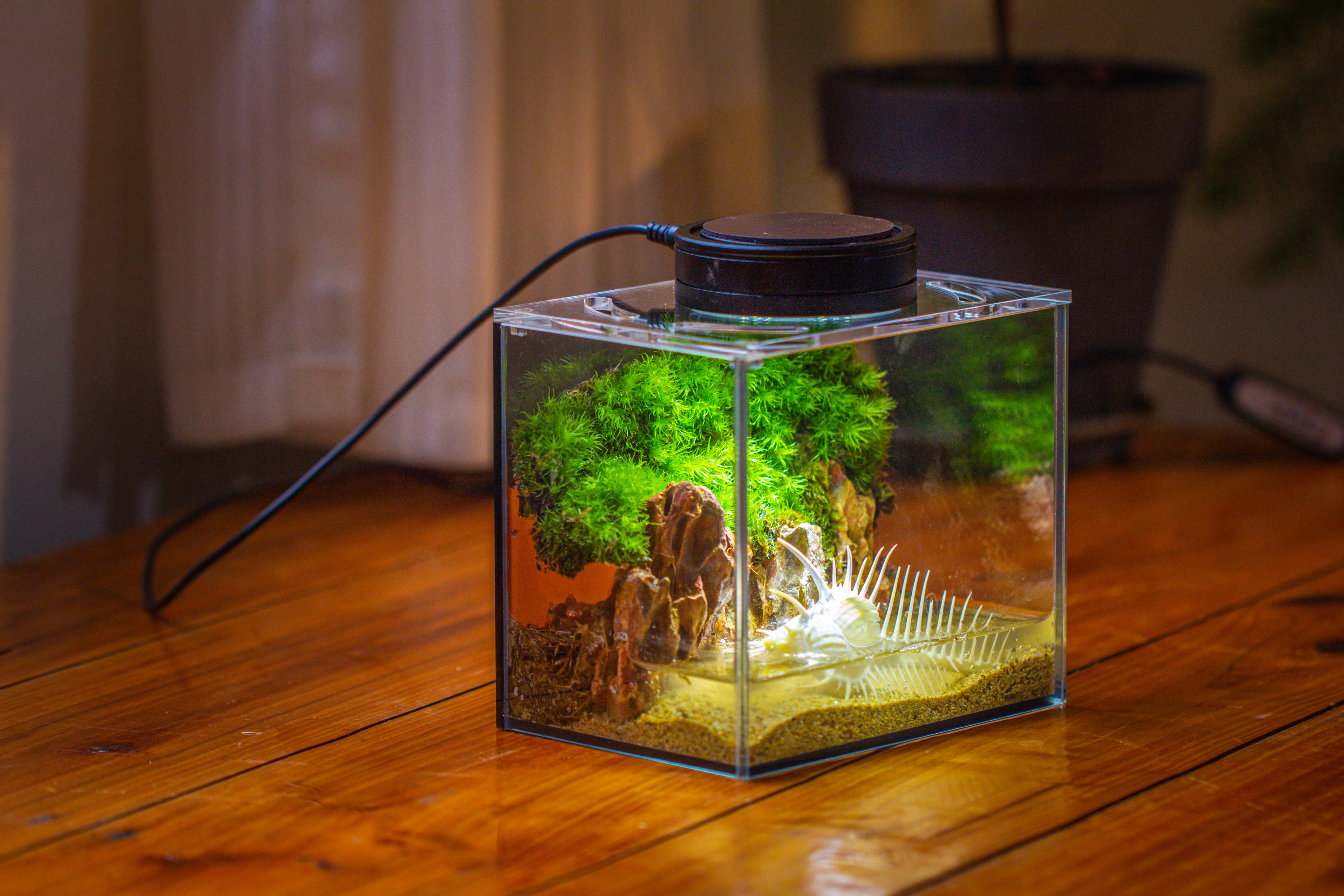 Watertight Glass Terrarium with LED Grow Light, Acrylic Lid for Moss Wall, vertical planting -15x11x13cm / 5.9x4.3x5.1'' - NCYPgarden