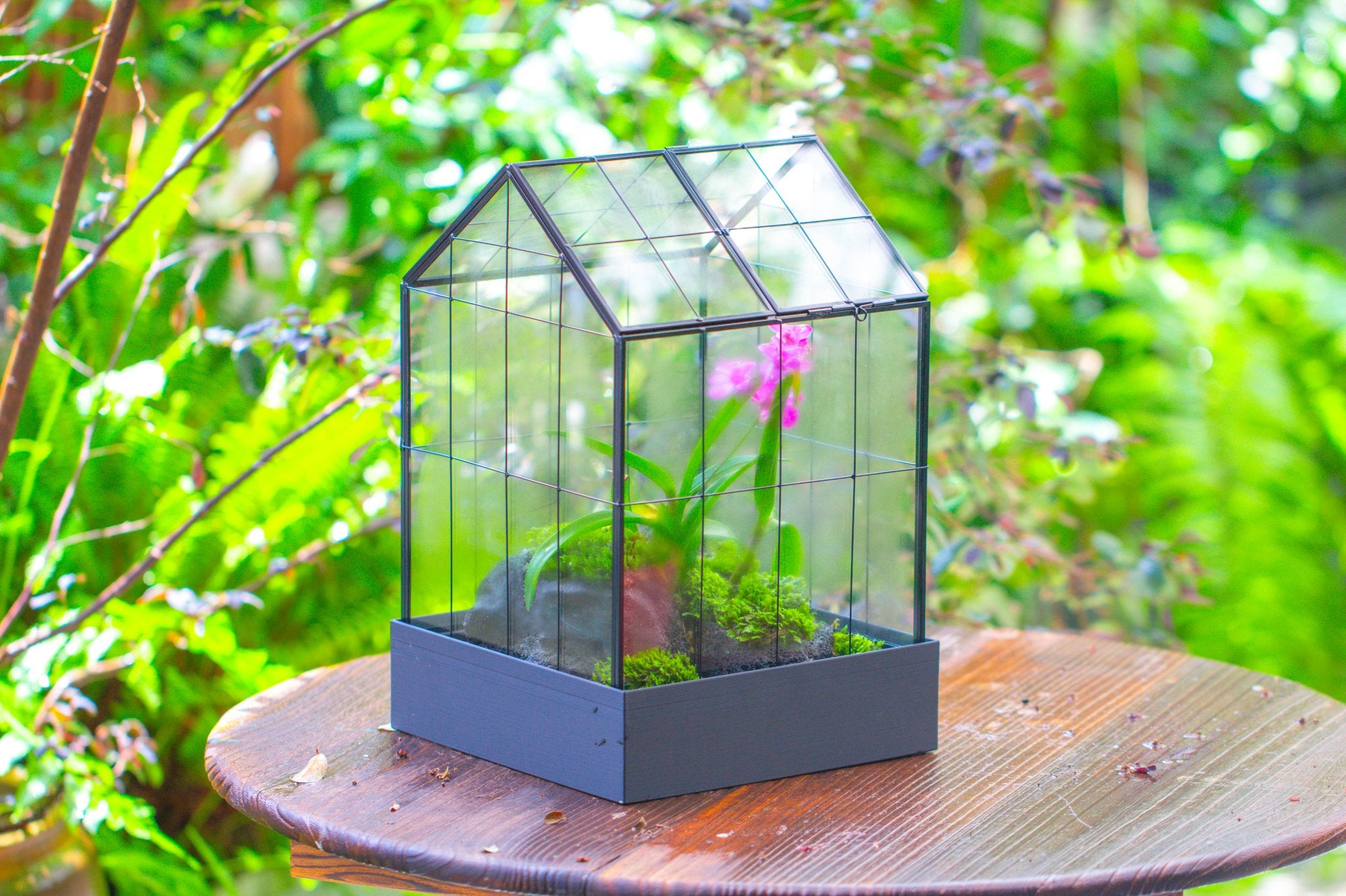 11” Vintage Greenhouse Glass Terrarium with Water - Holding Tray and Top Door - NCYPgarden