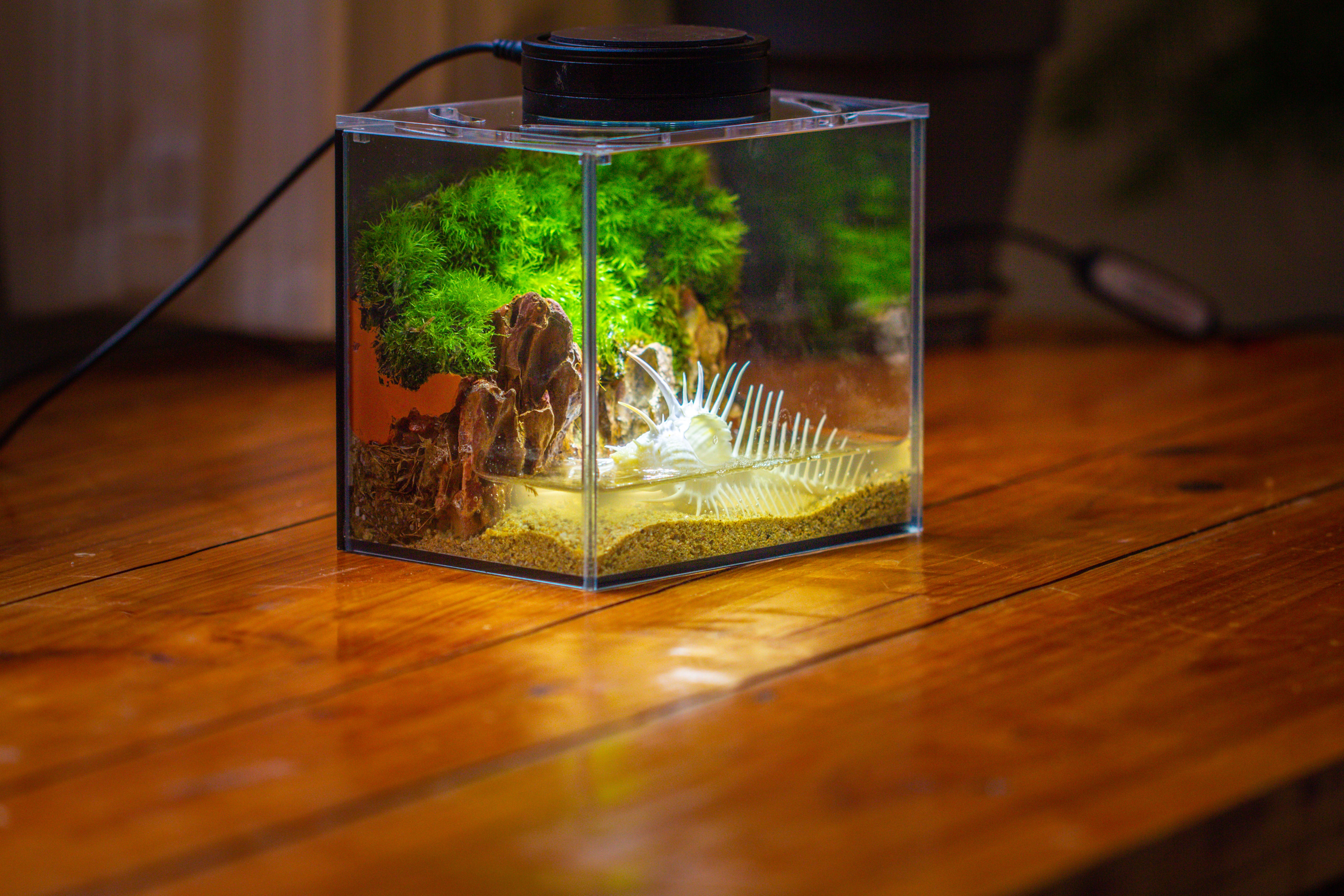 Watertight Glass Terrarium with LED Grow Light, Acrylic Lid for Moss Wall, vertical planting -15x11x13cm / 5.9x4.3x5.1'' - NCYPgarden