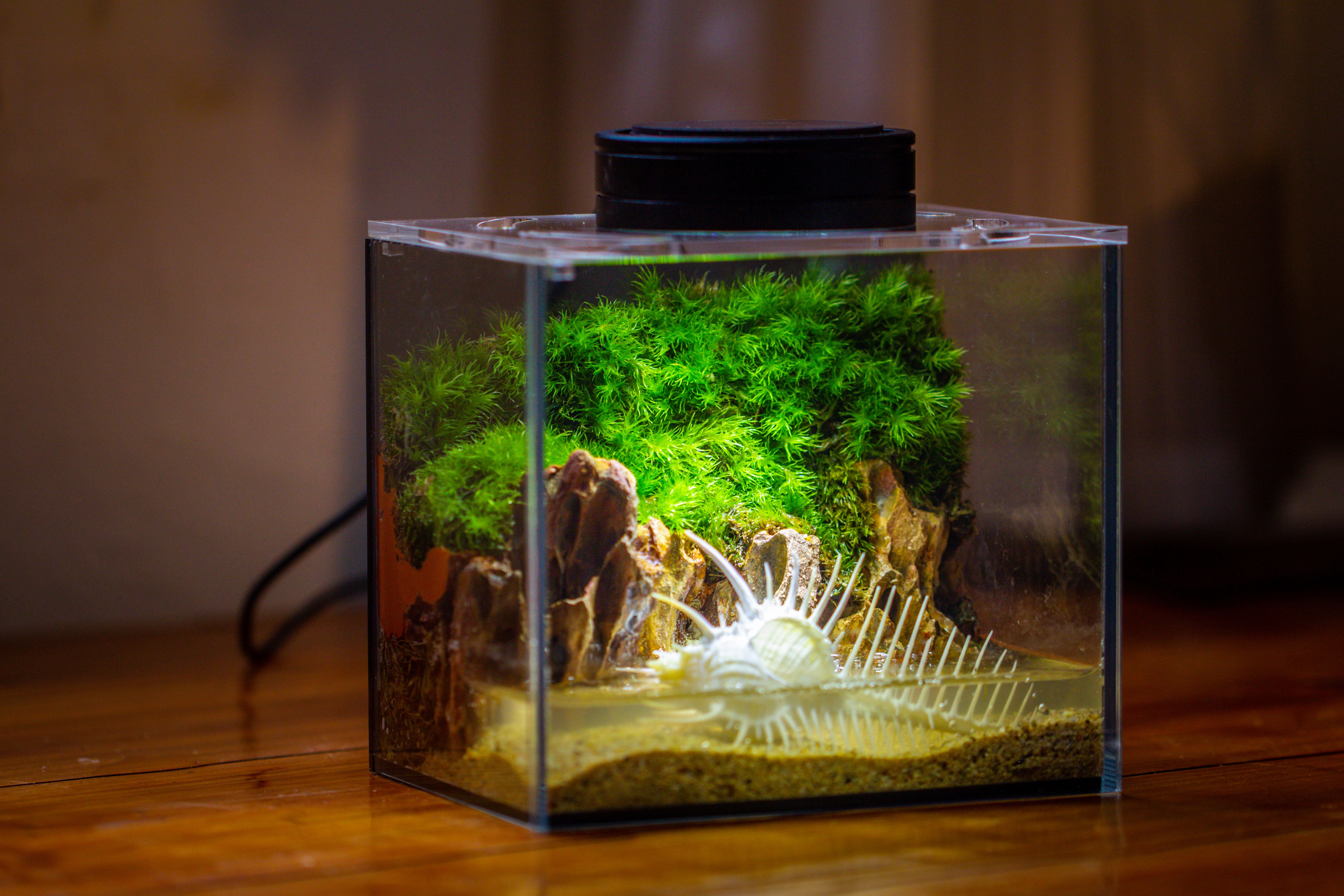 Watertight Glass Terrarium with LED Grow Light, Acrylic Lid for Moss Wall, vertical planting -15x11x13cm / 5.9x4.3x5.1'' - NCYPgarden