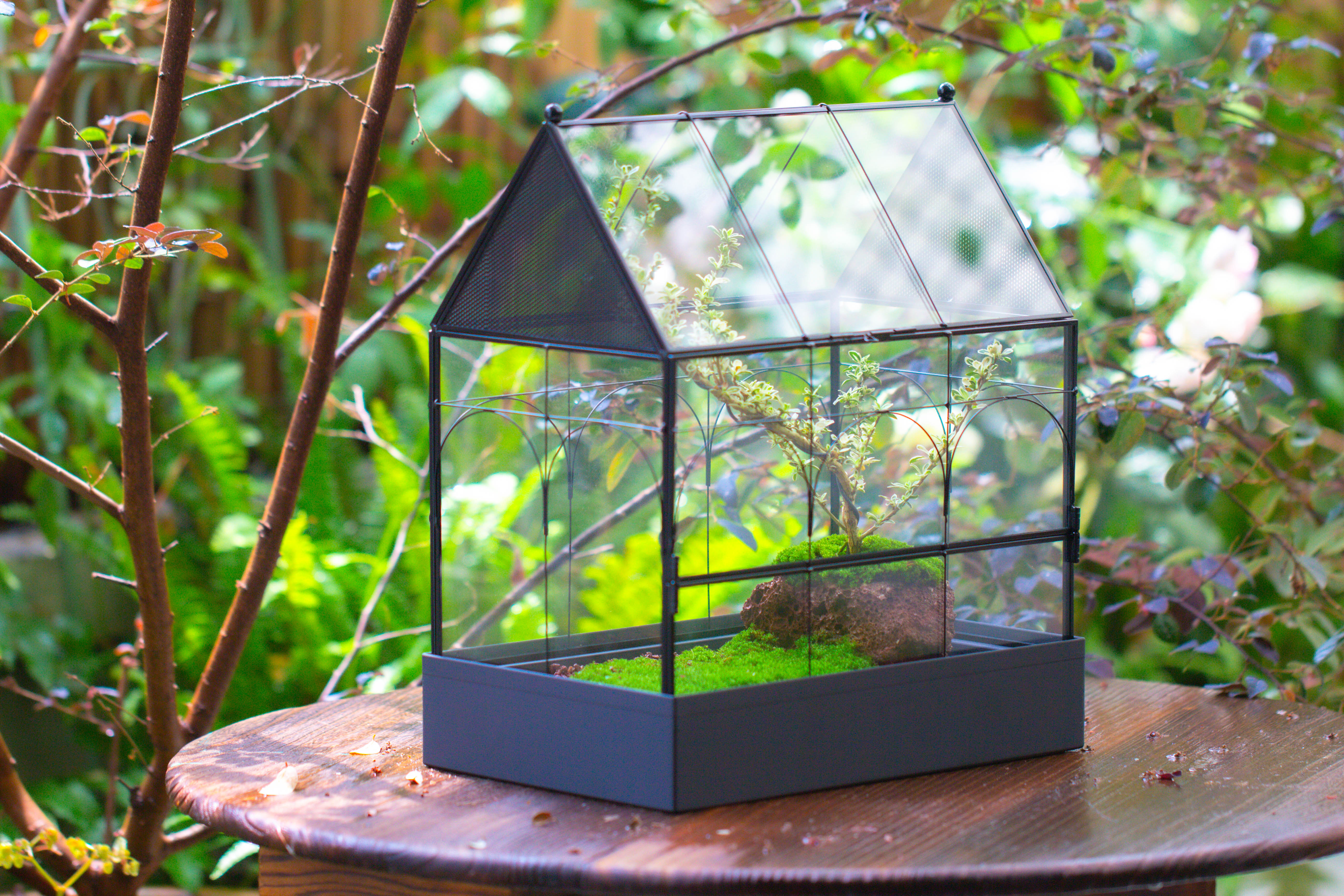 Large Vintage House Shape Insect Terrarium with Vent for Tarantulas, Mantis, Stick Insects -13" - NCYPgarden