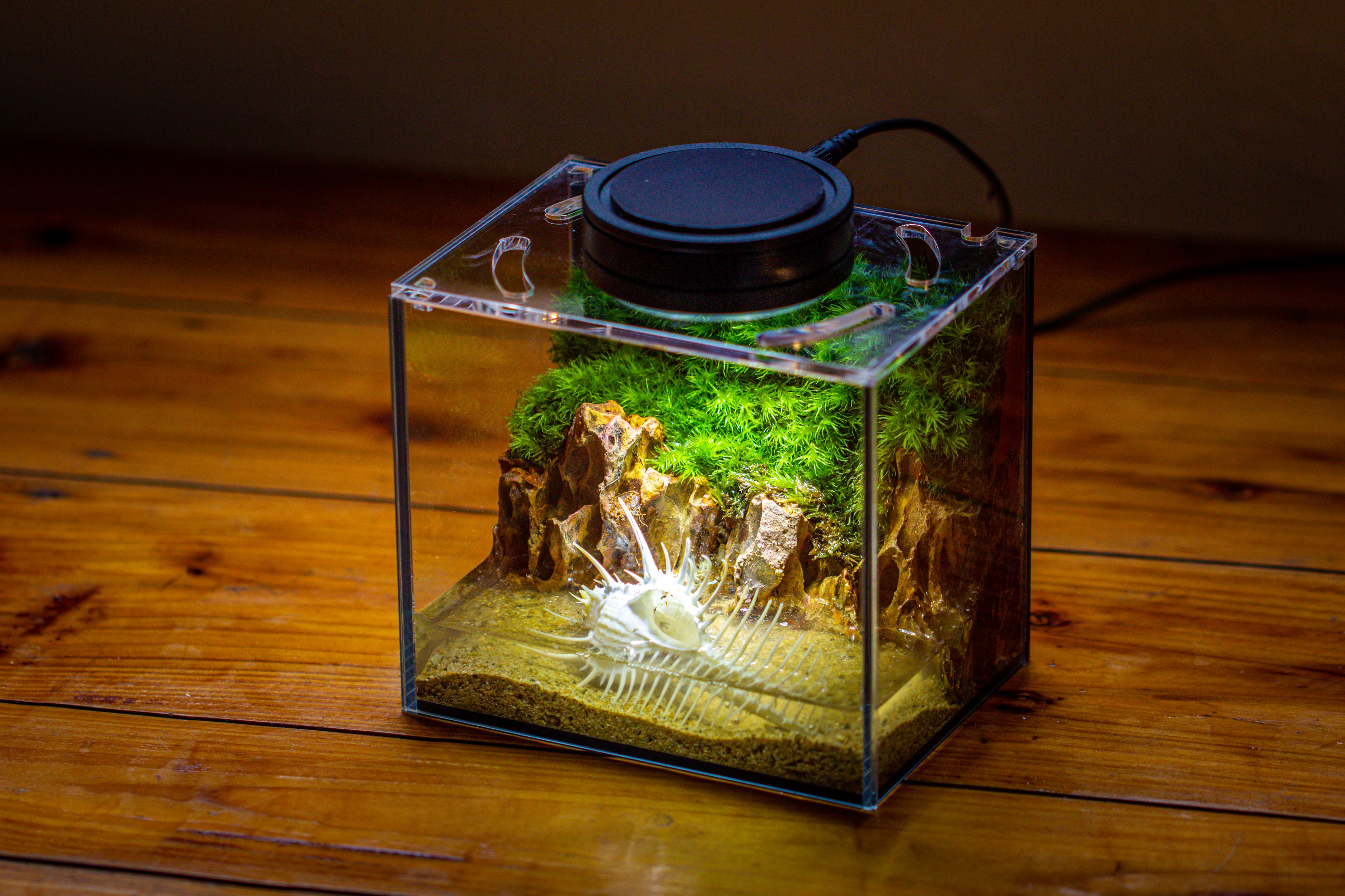 Watertight Glass Terrarium with LED Grow Light, Acrylic Lid for Moss Wall, vertical planting-15x11x13cm / 5.9x4.3x5.1'' - NCYPgarden