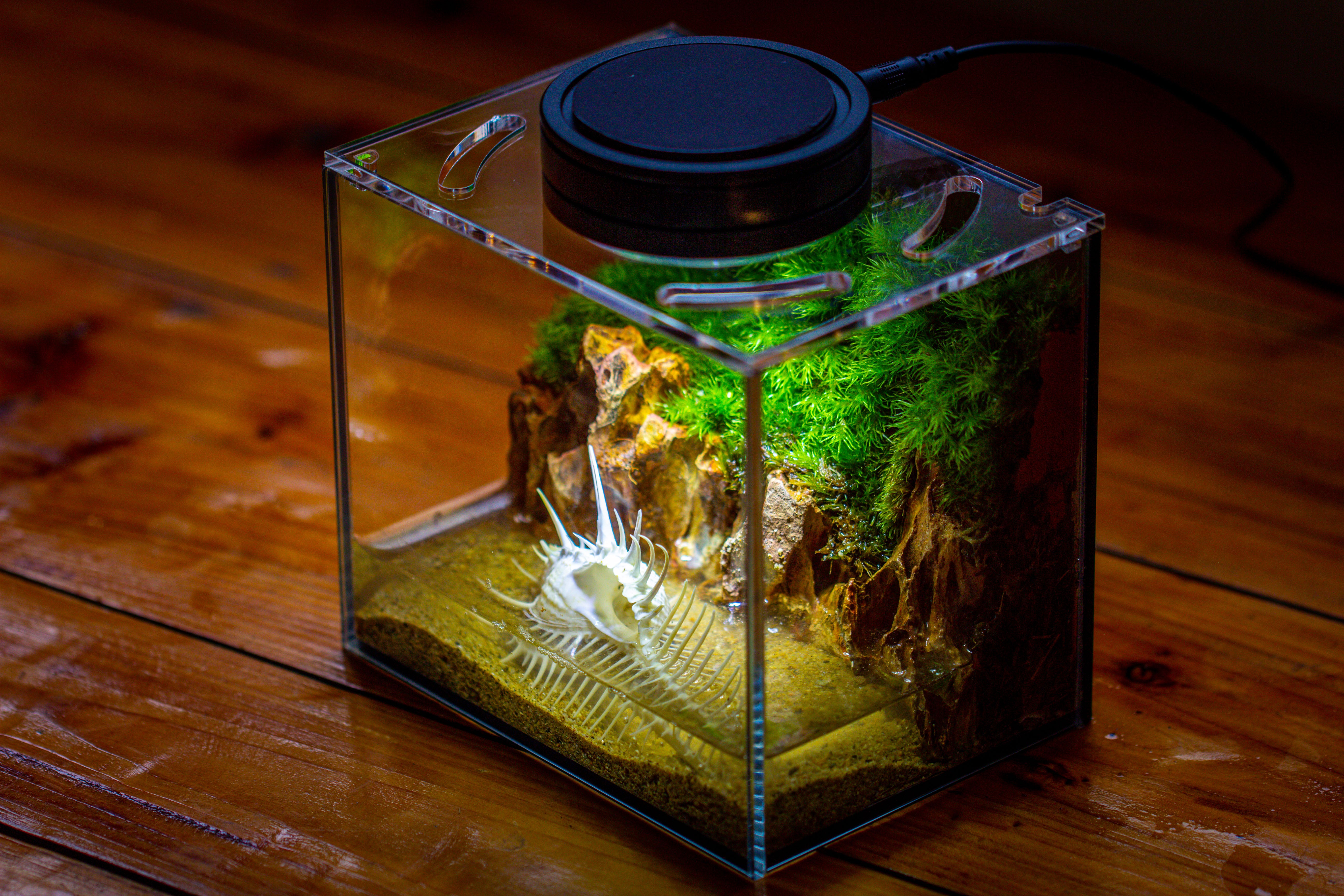 Watertight Glass Terrarium with LED Grow Light, Acrylic Lid for Moss Wall, vertical planting-15x11x13cm / 5.9x4.3x5.1'' - NCYPgarden