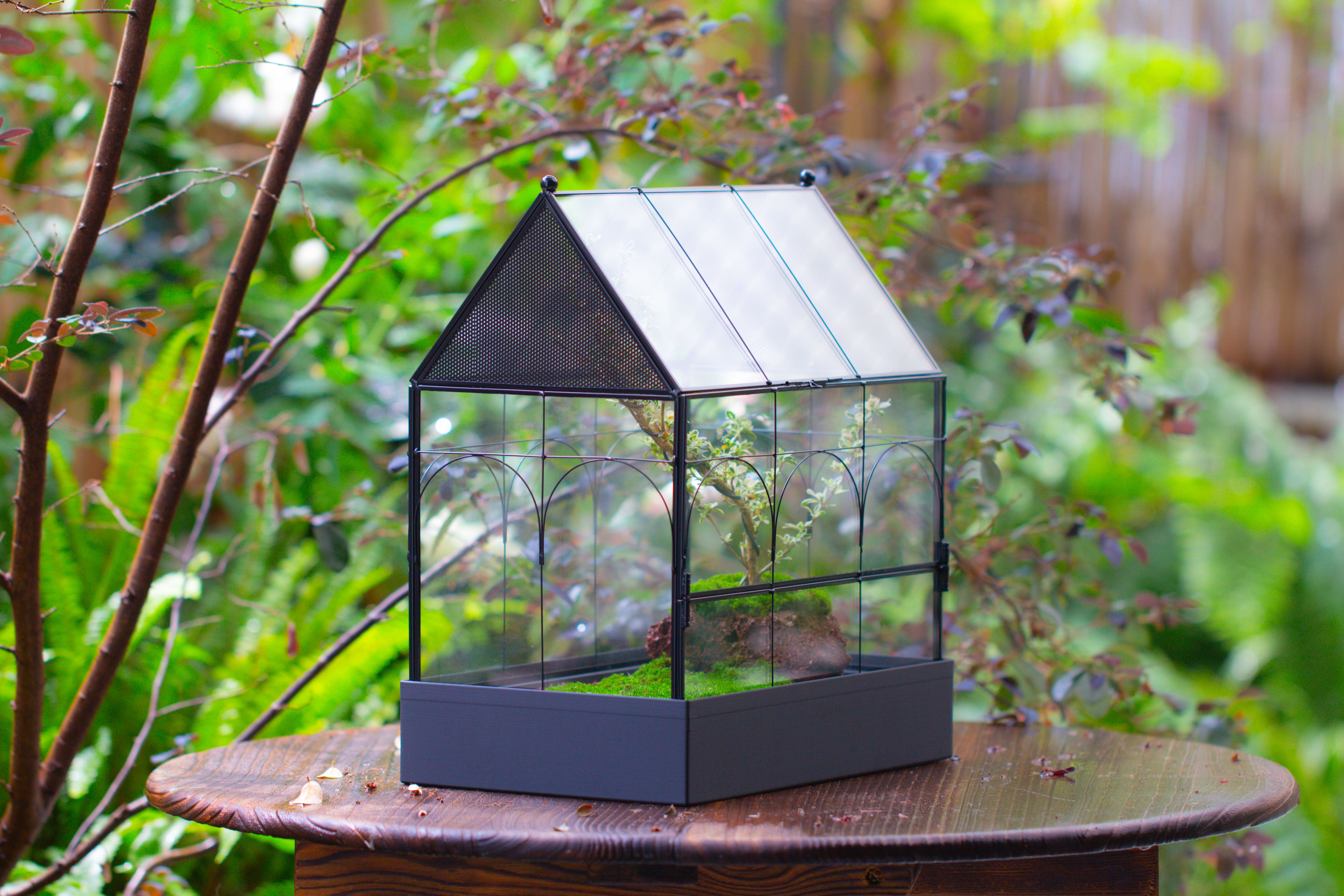 Large Vintage House Shape Insect Terrarium with Vent for Tarantulas, Mantis, Stick Insects -13" - NCYPgarden