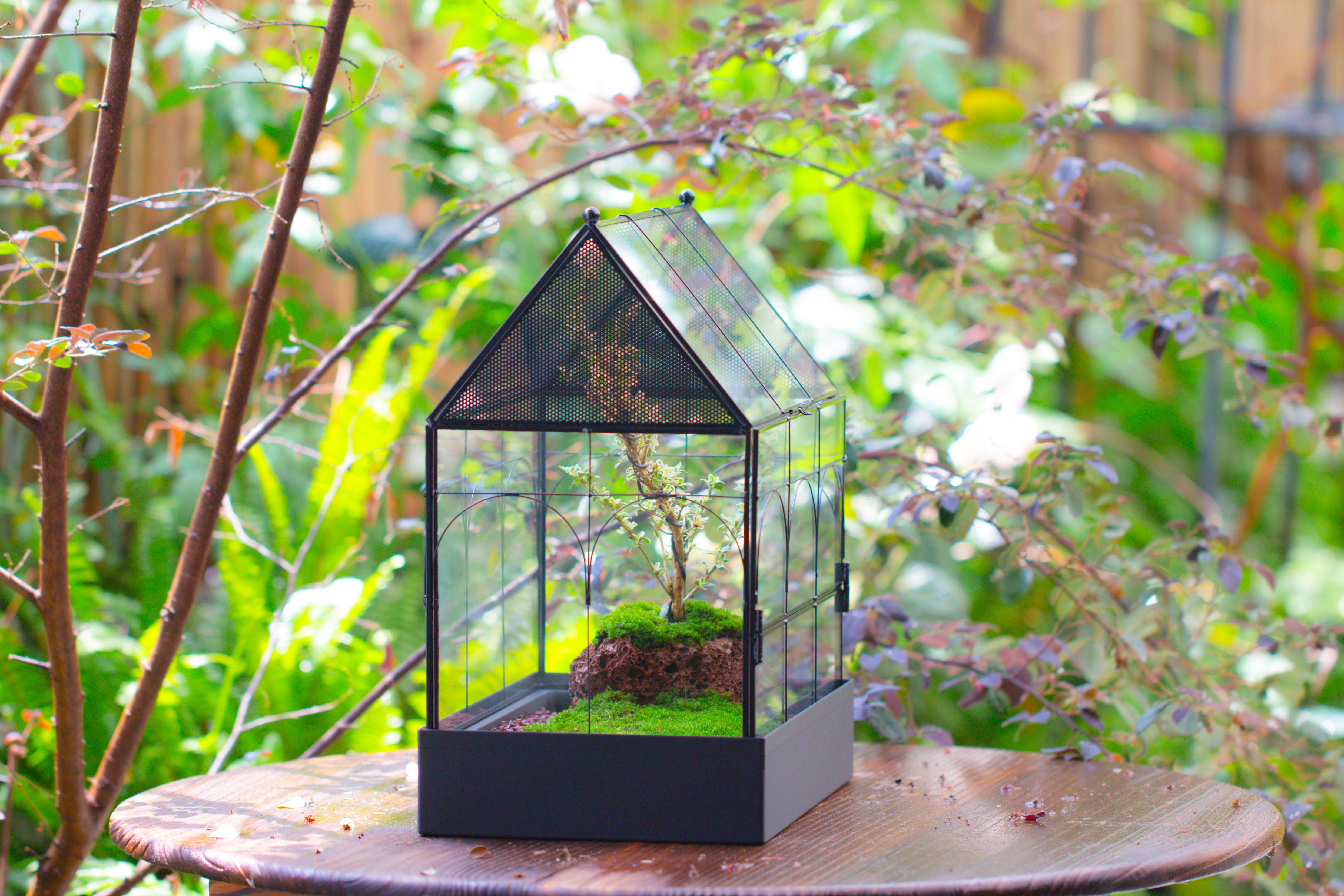 Large Vintage House Shape Insect Terrarium with Vent for Tarantulas, Mantis, Stick Insects -13" - NCYPgarden