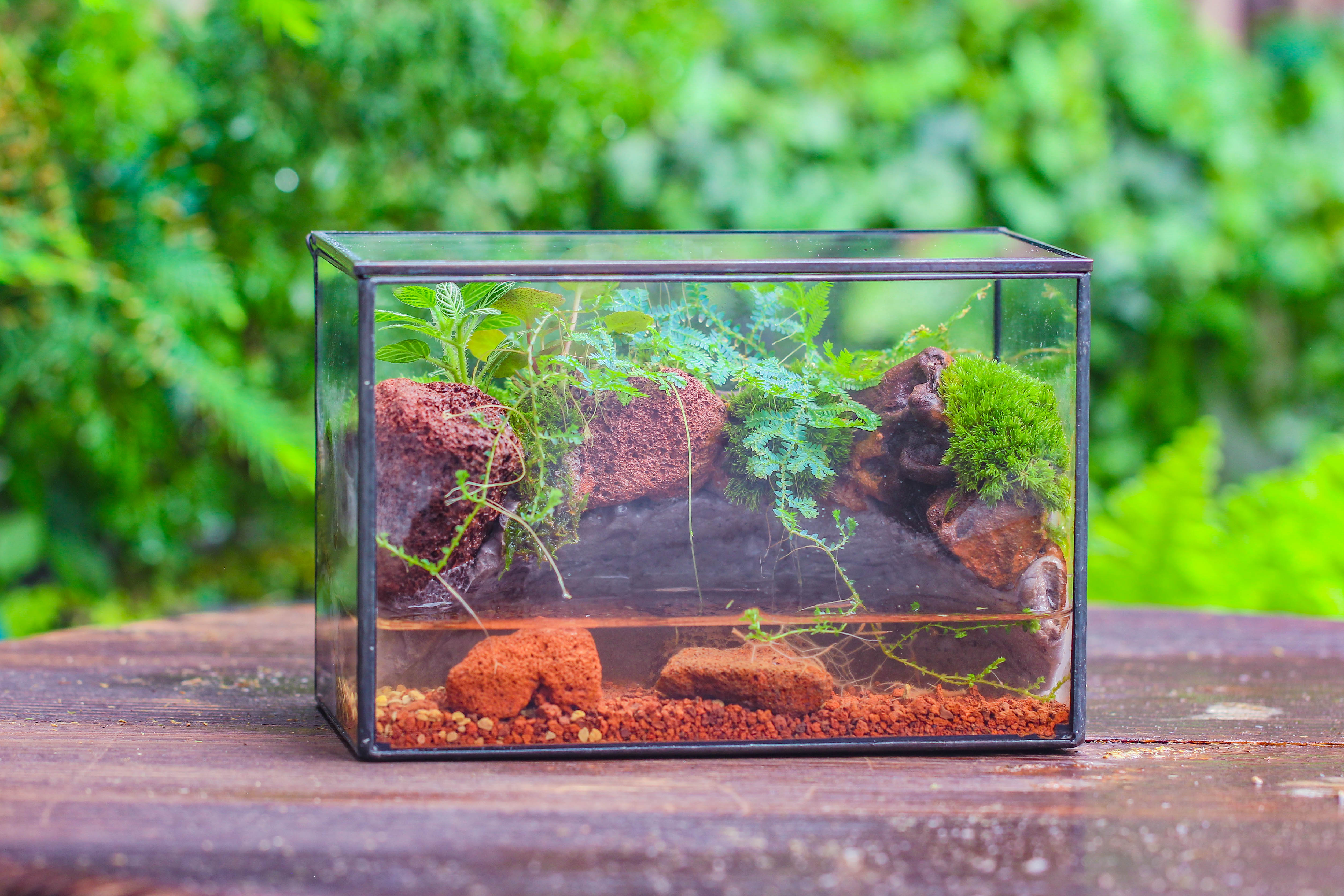 NCYP Watertight Close Rectangle Geometric Glass Tin Terrarium, for small waterpond, moss landscape, Live Miniature, water pond, landscape - NCYPgarden